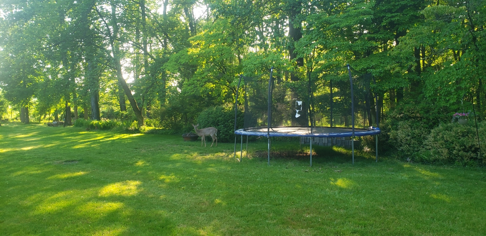 20230531_181156.jpg