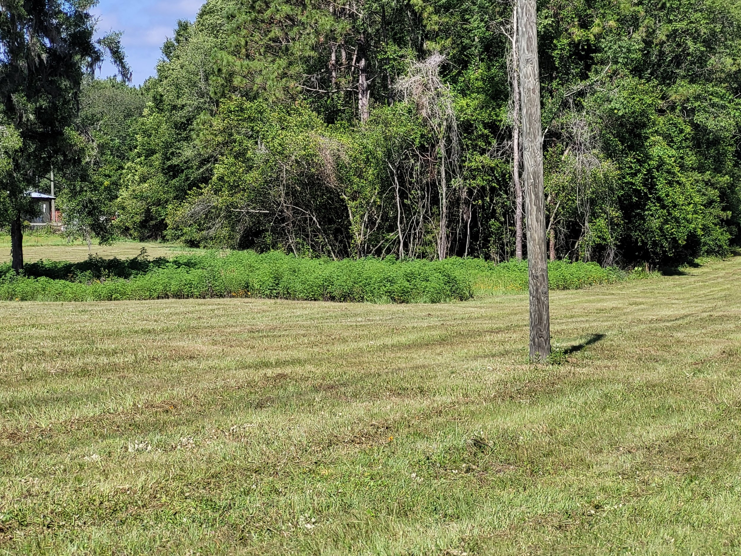 20230602_102121.jpg