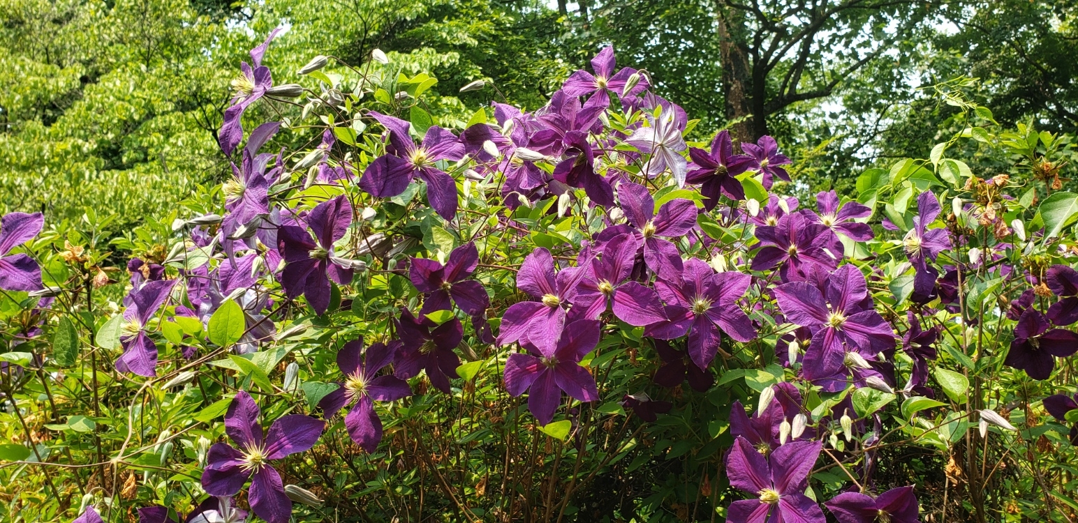 20230607_115518.jpg