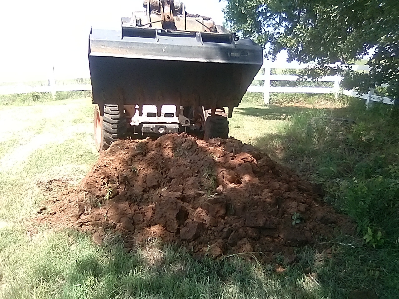 20230608_113338.jpg