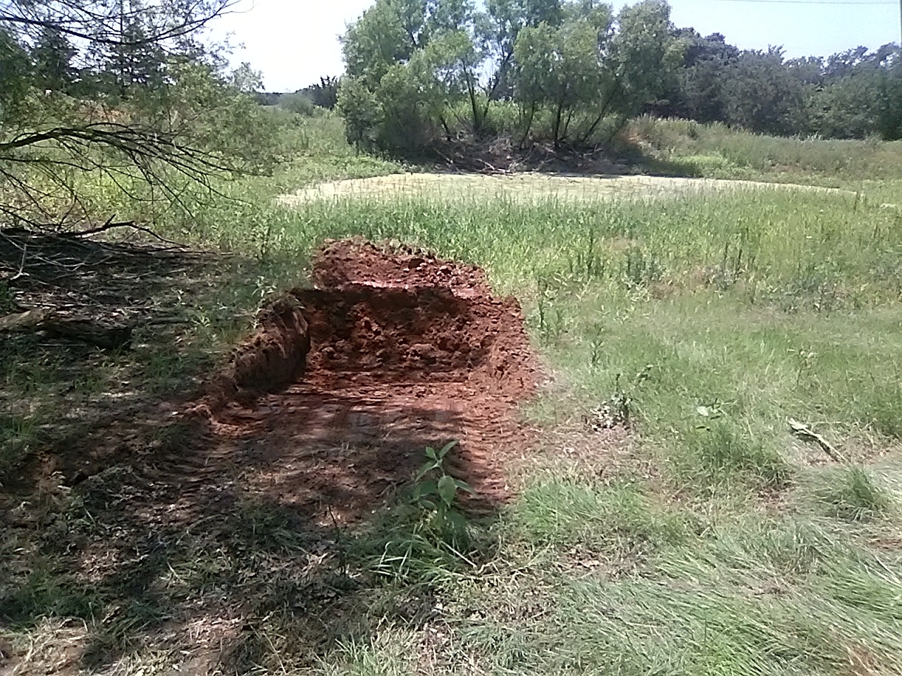 20230608_123241.jpg