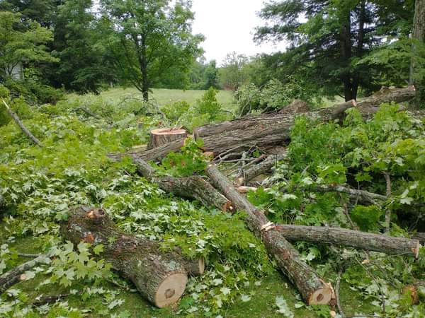 20230623_194608_20230623_194608__OH_Farm_TreeRemoved_kevinpics.JPG