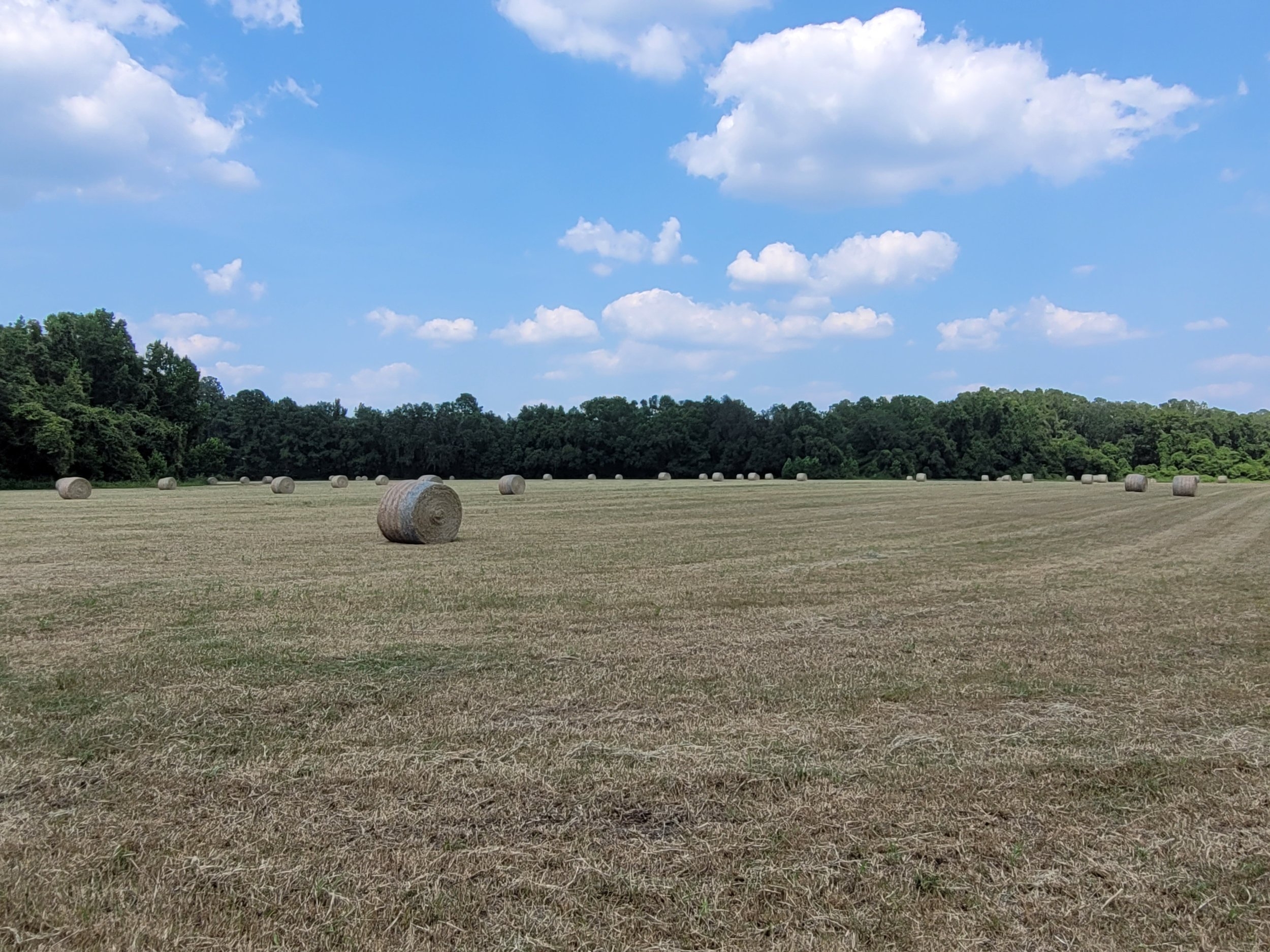 20230629_161602.jpg