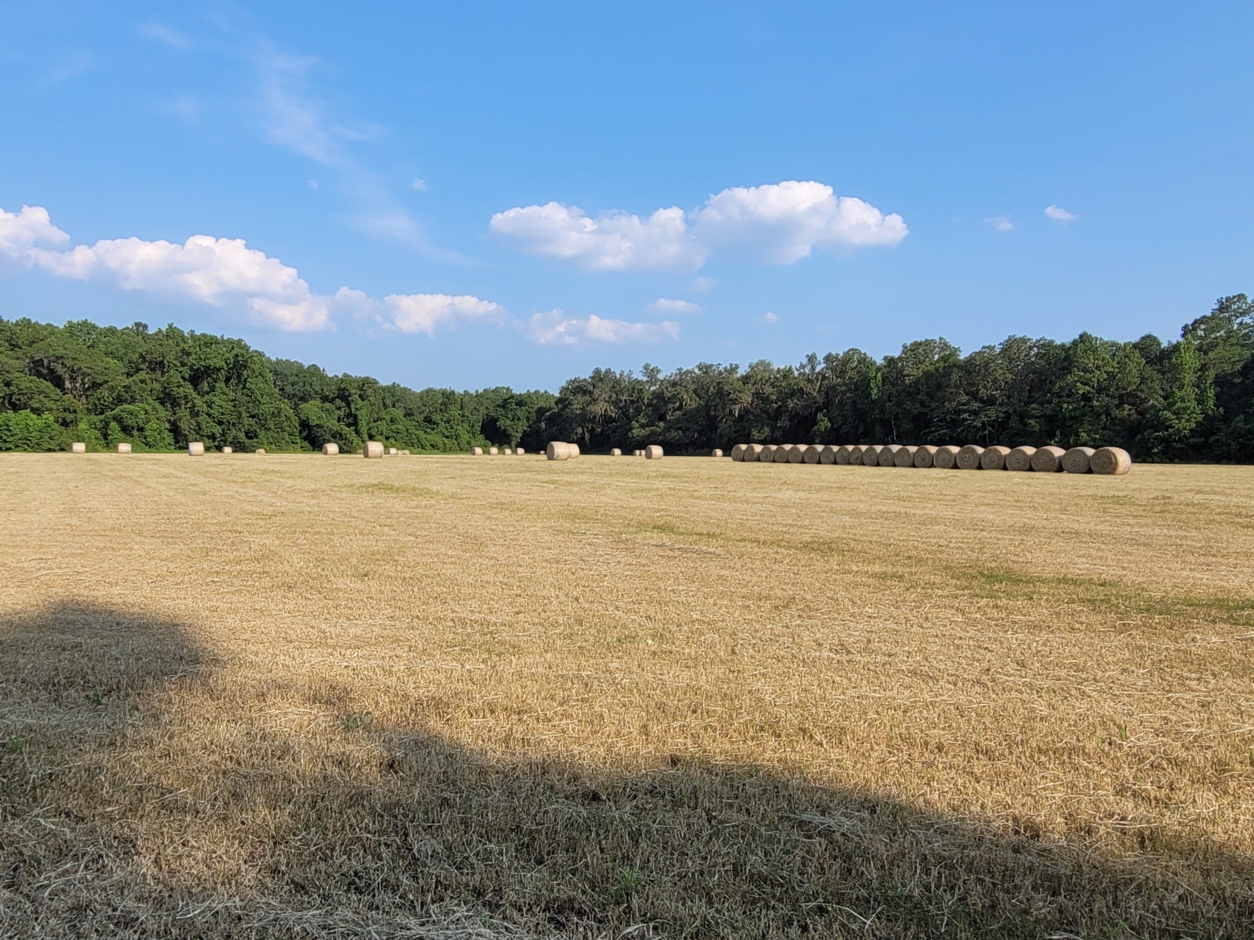 20230629_181649.jpg