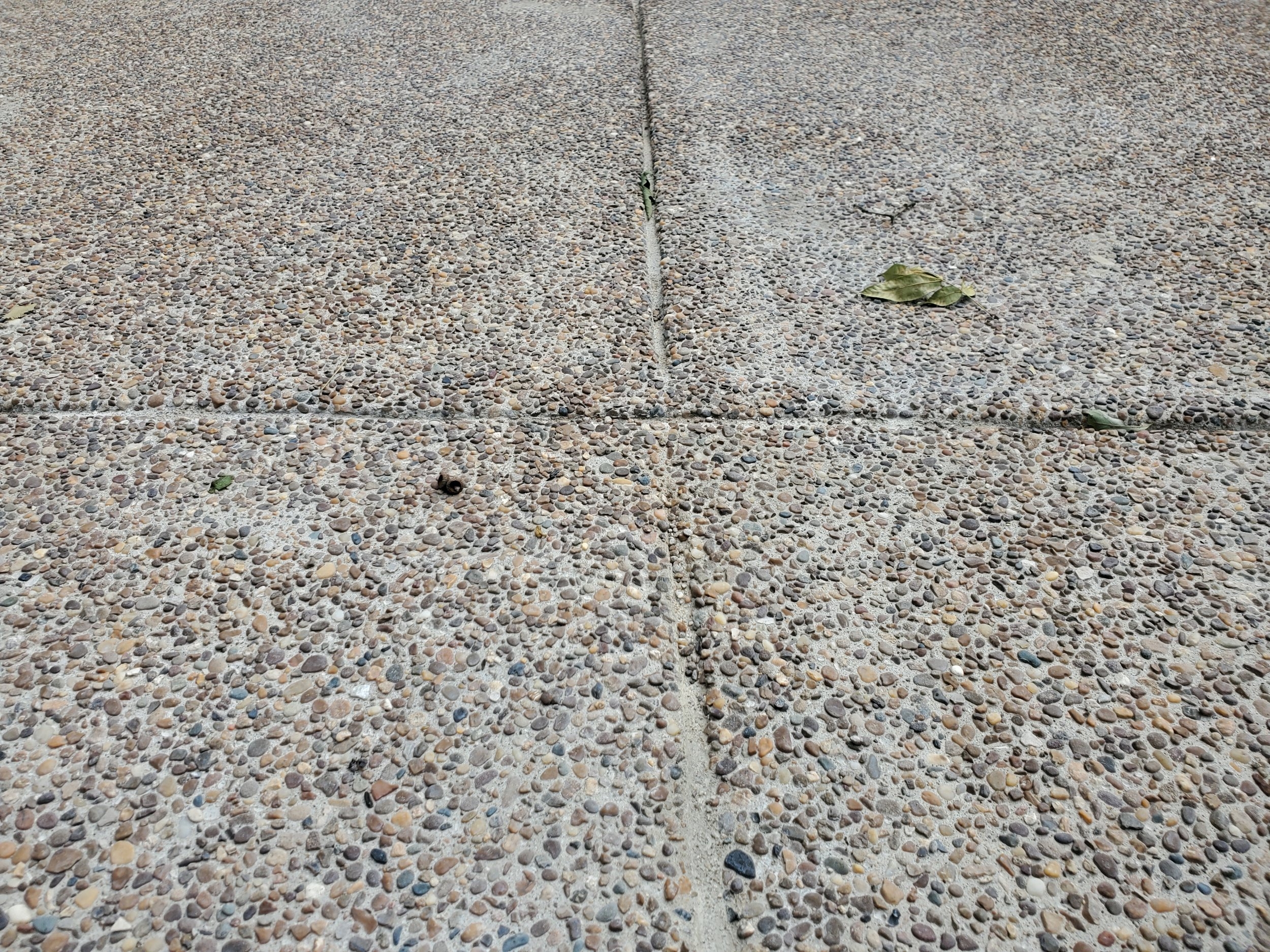 20230702_161154.jpg