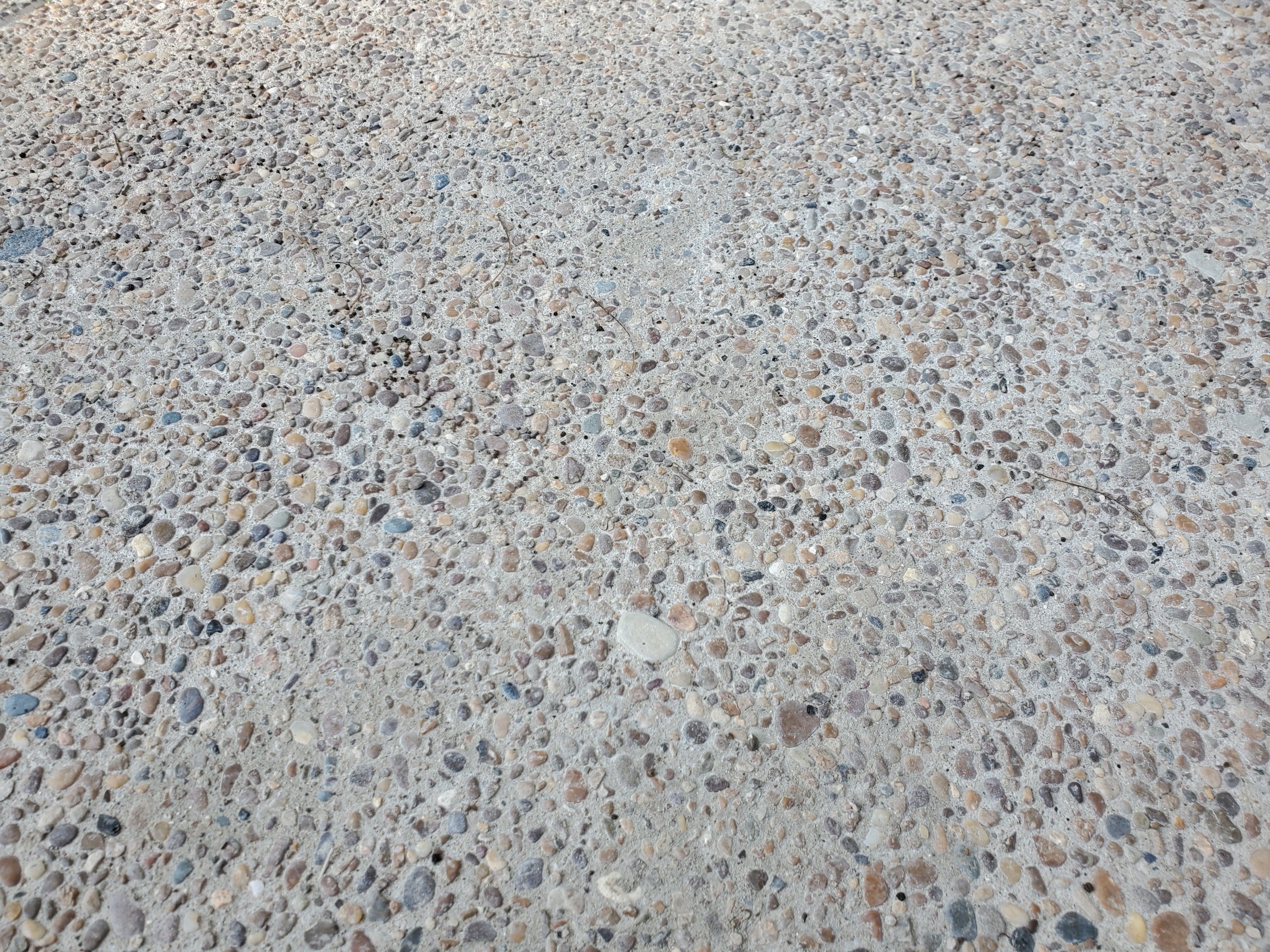 20230712_175002.jpg