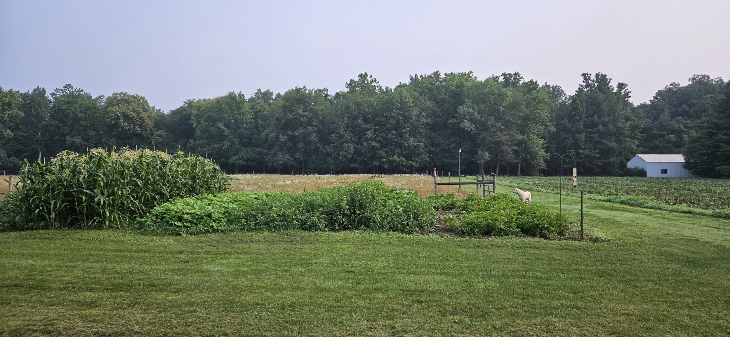 20230717_084634.jpg