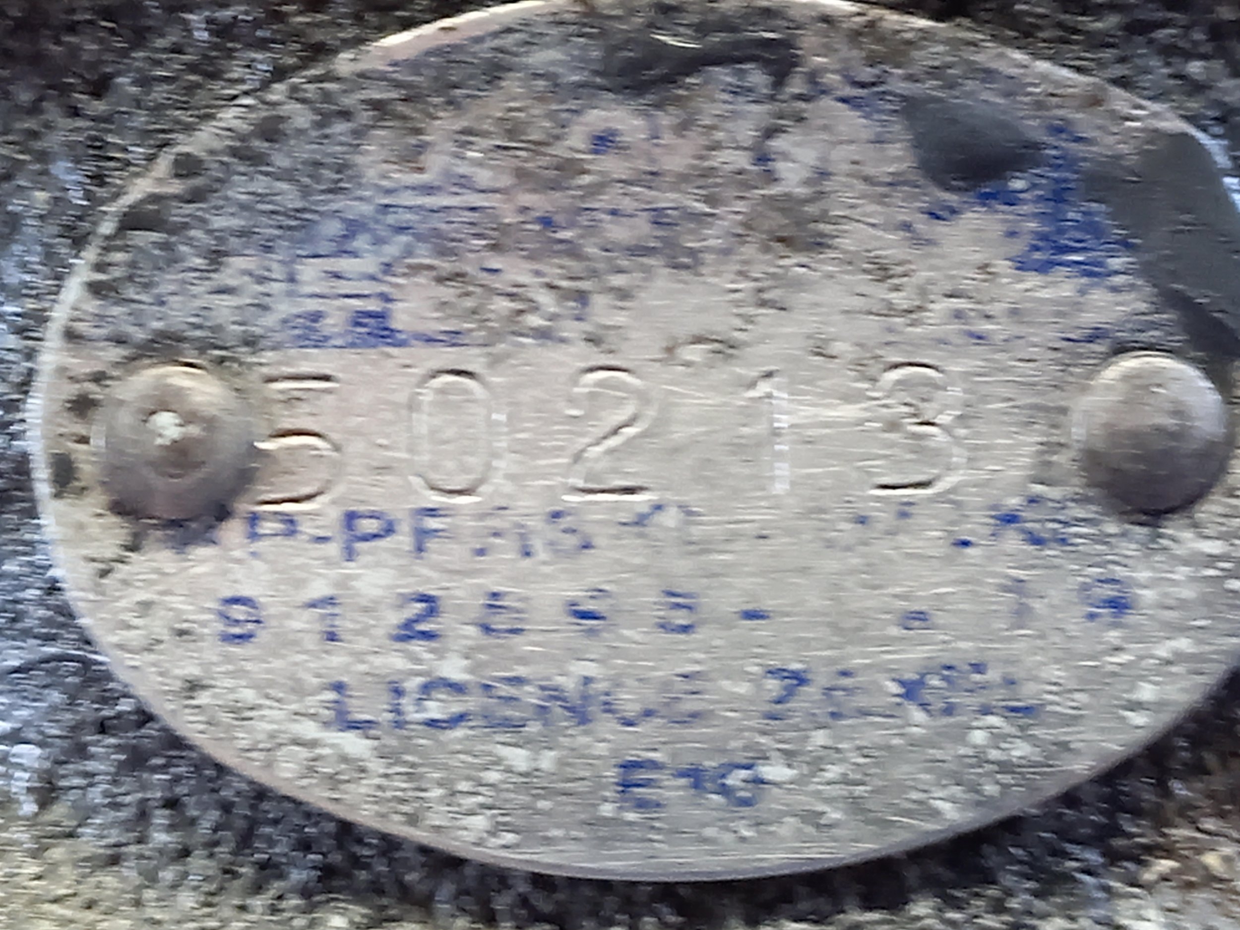 20230723_114015.jpg