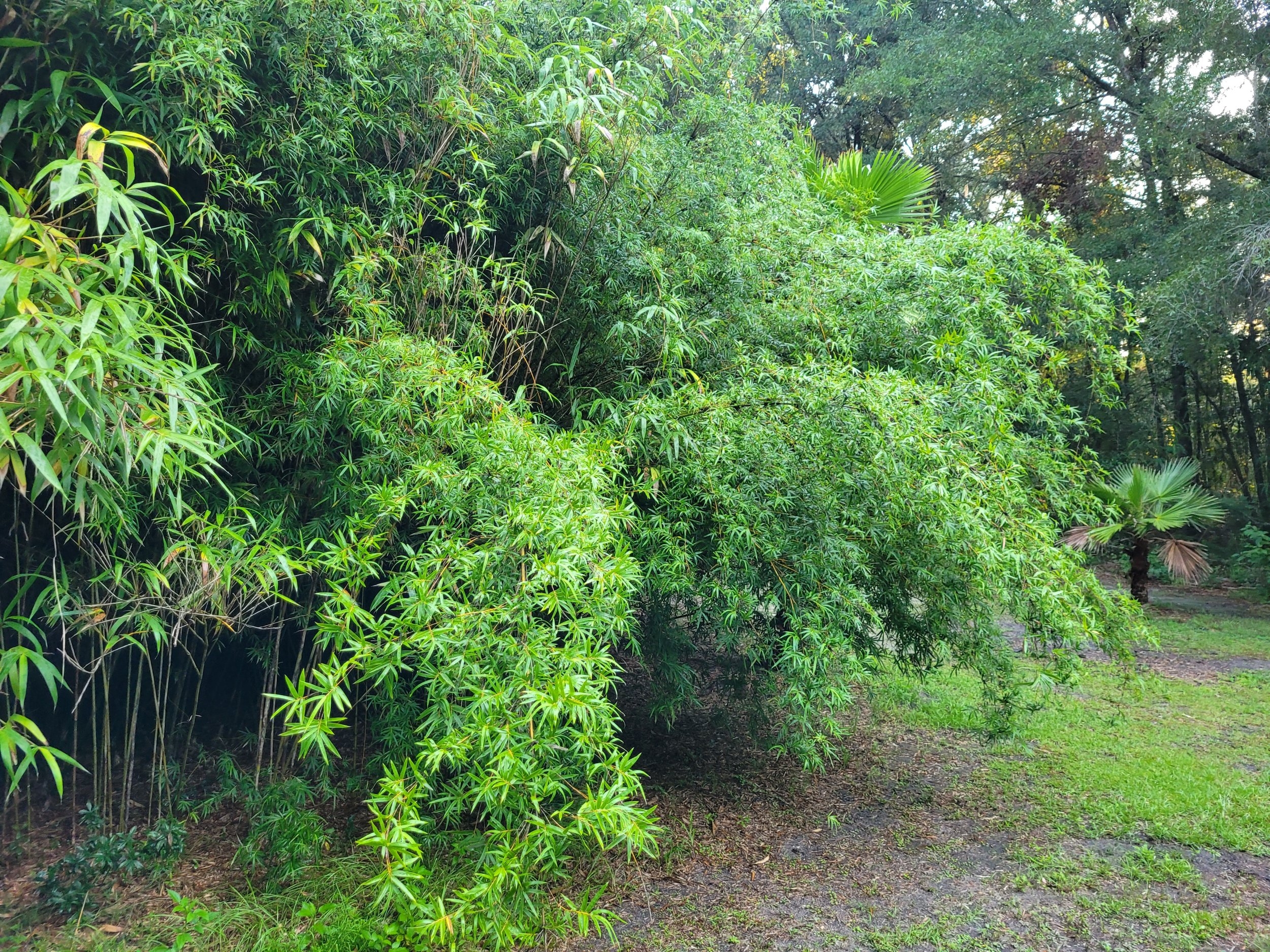 20230726_073115.jpg