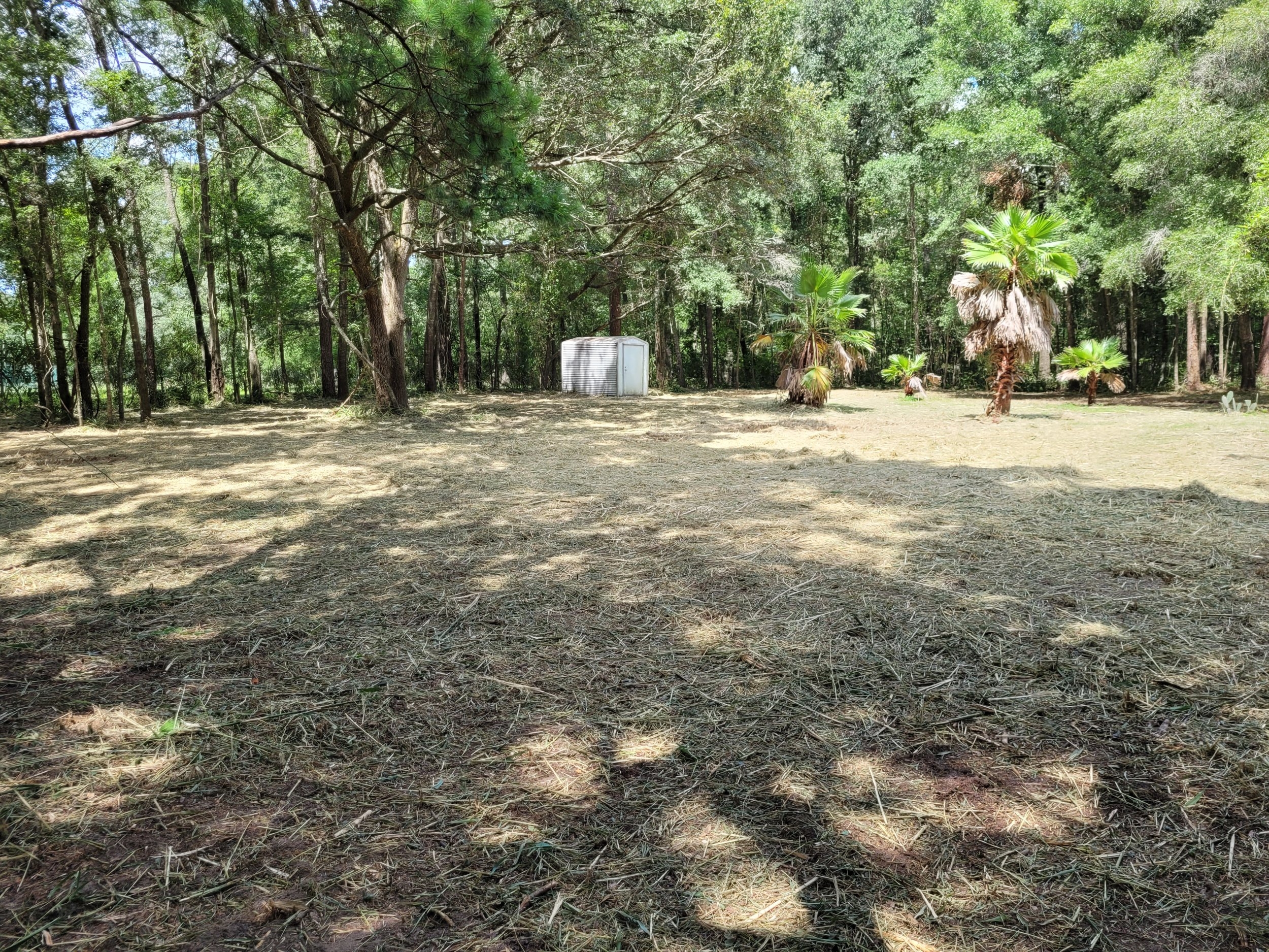 20230726_151554.jpg