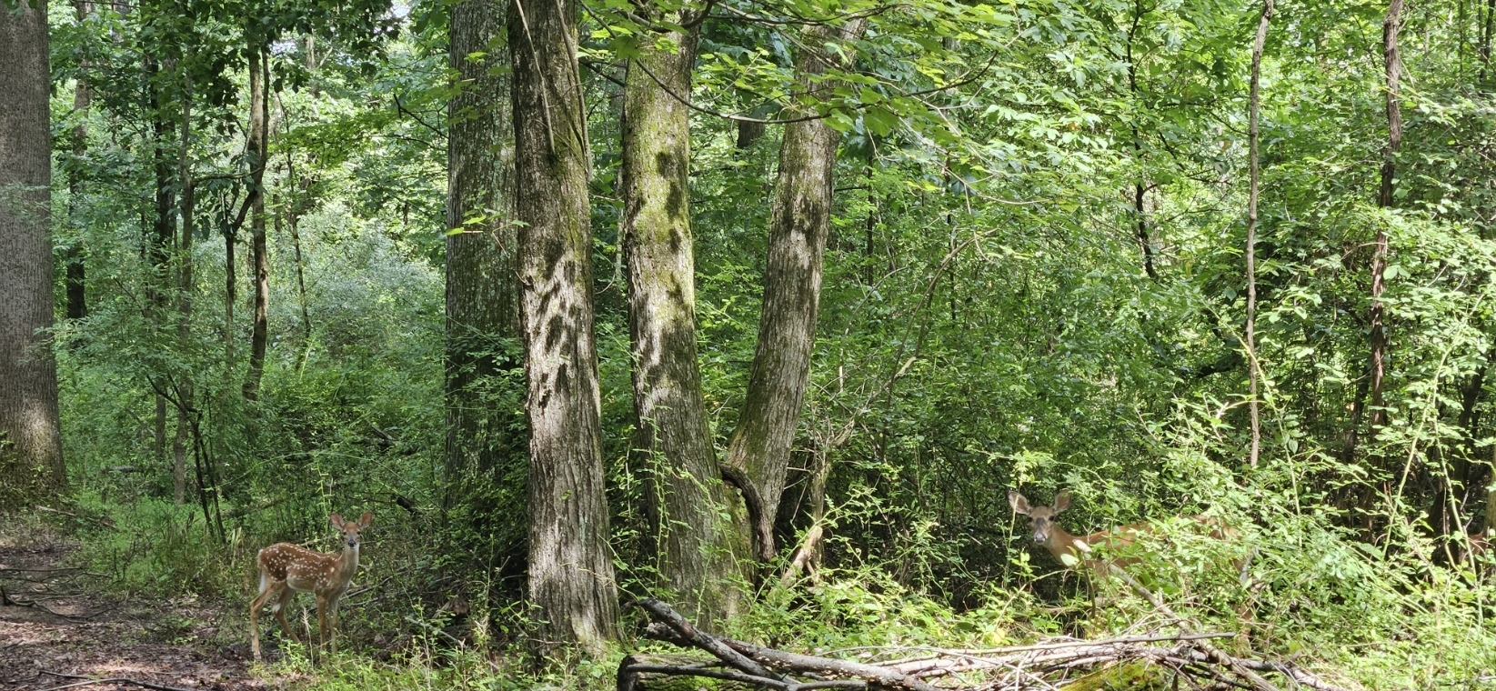 20230729_114917.jpg