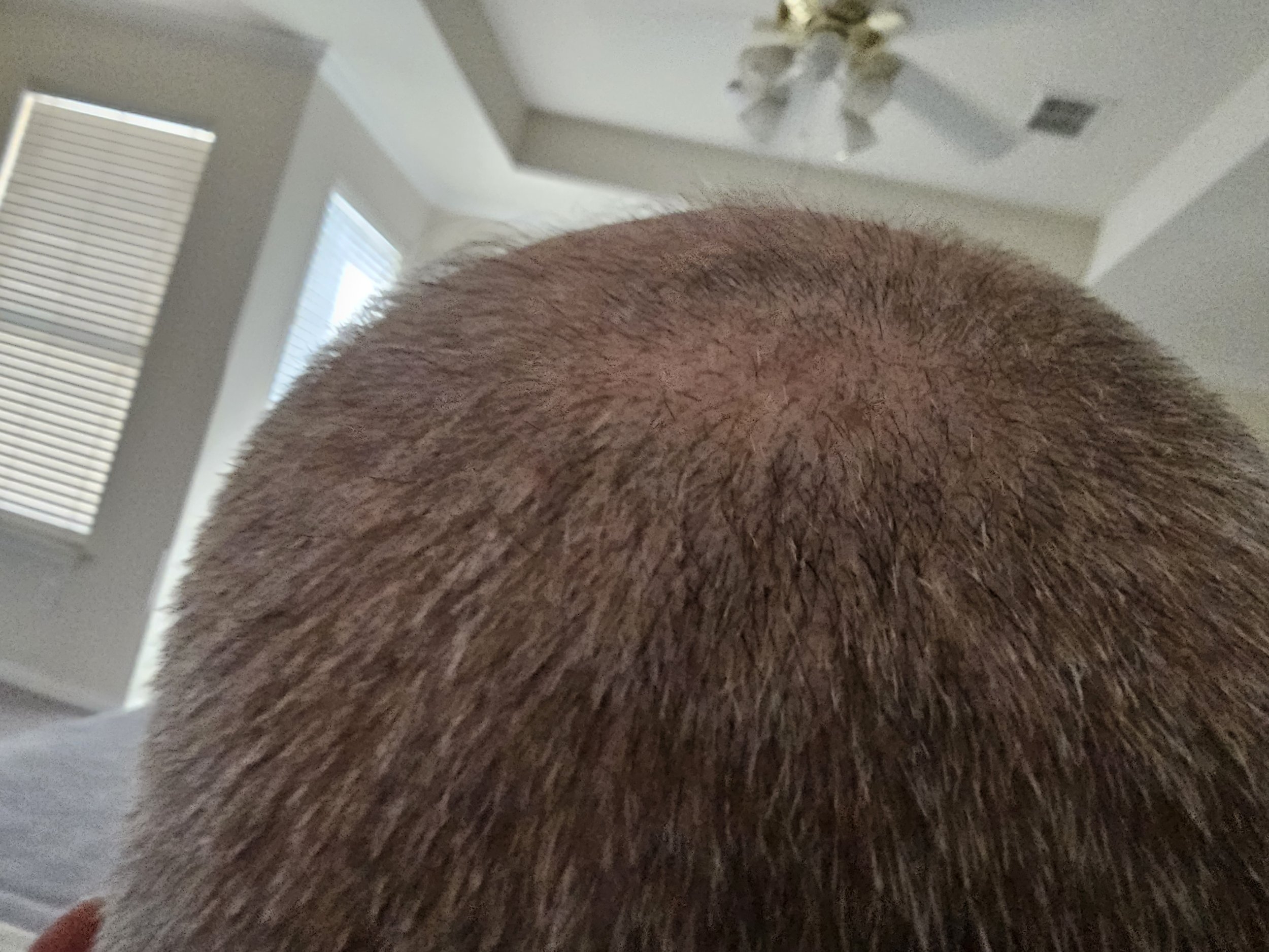 20230730_160048.jpg