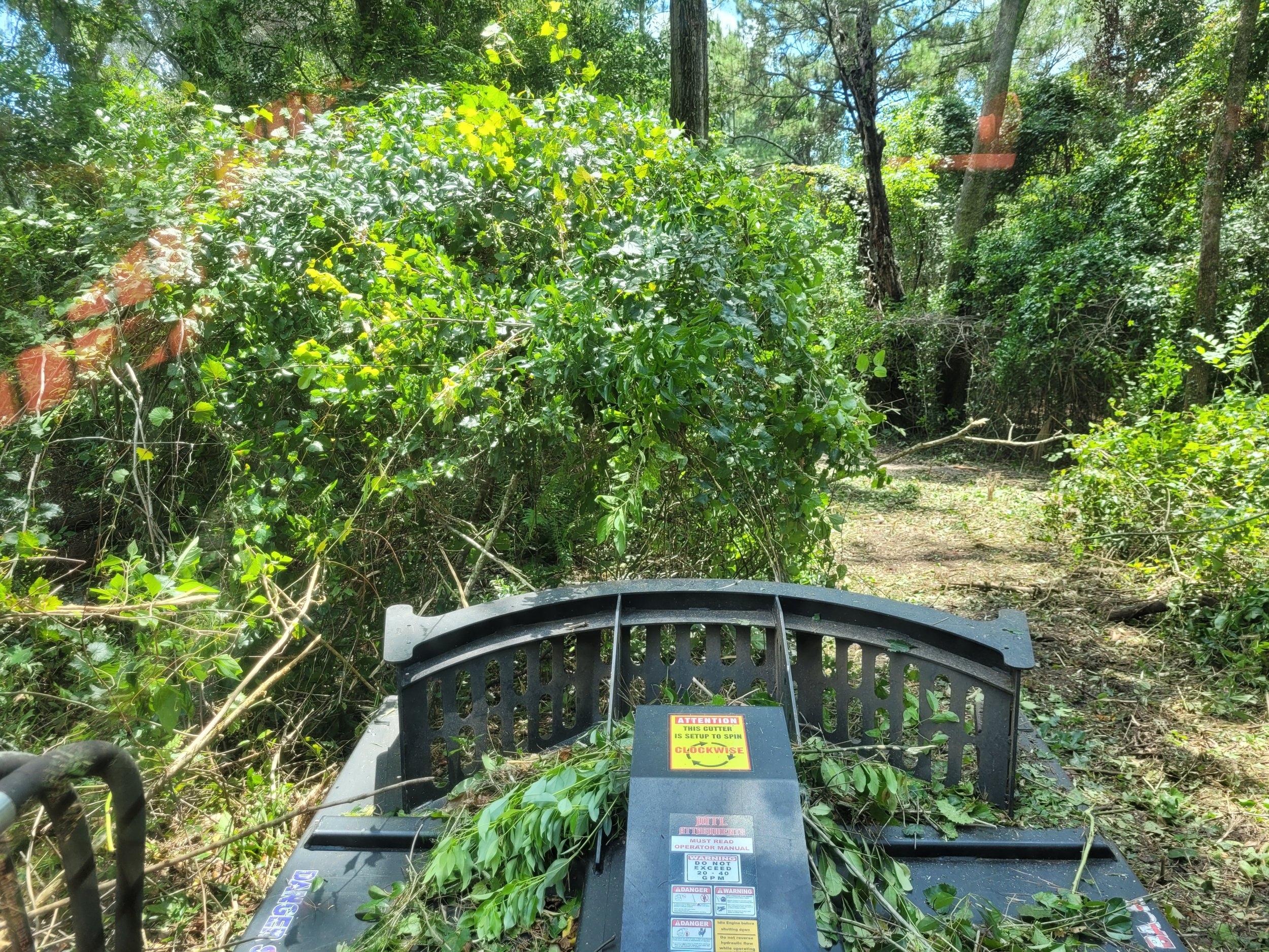 20230801_133213.jpg
