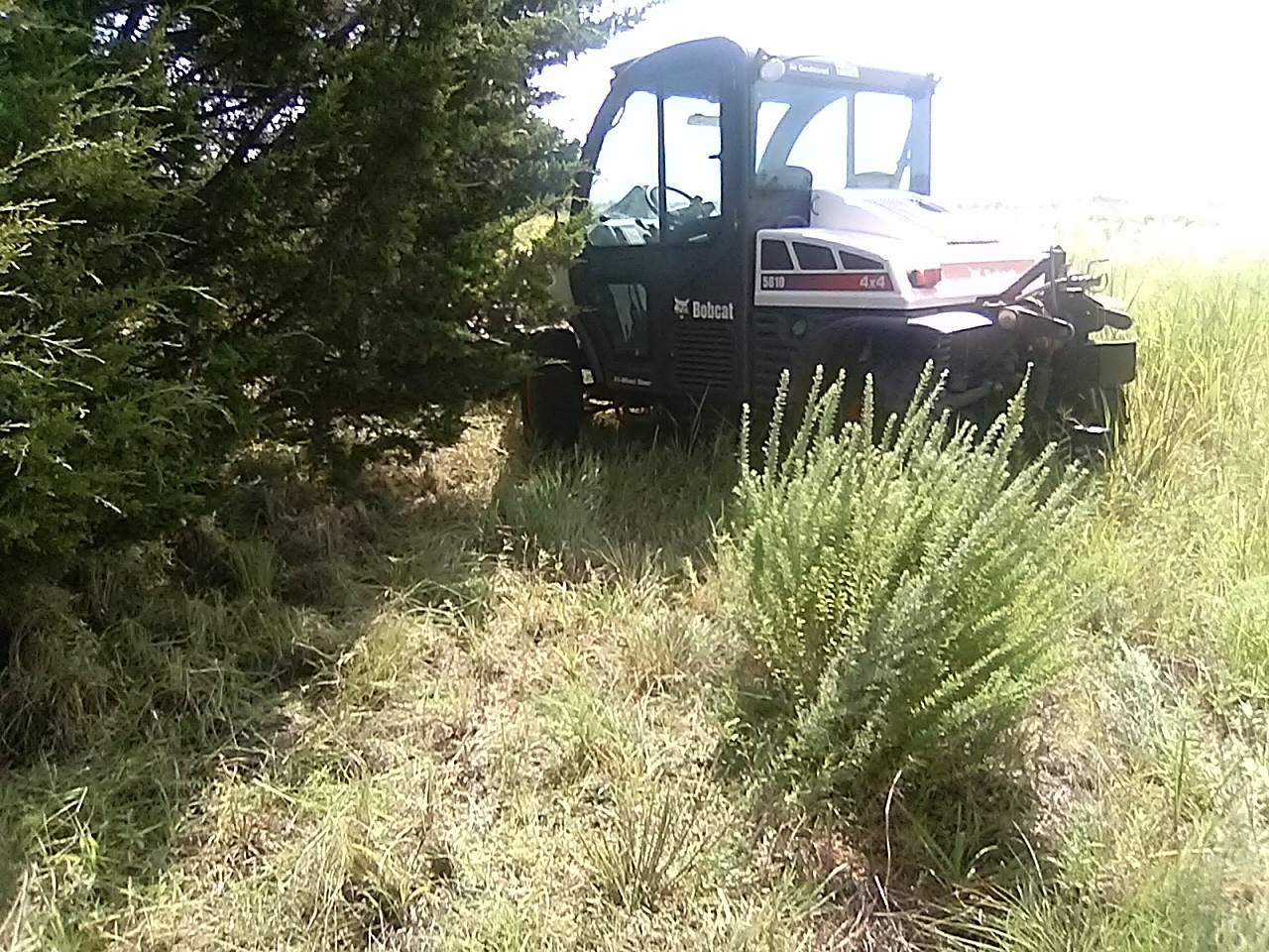 20230806_110446.jpg