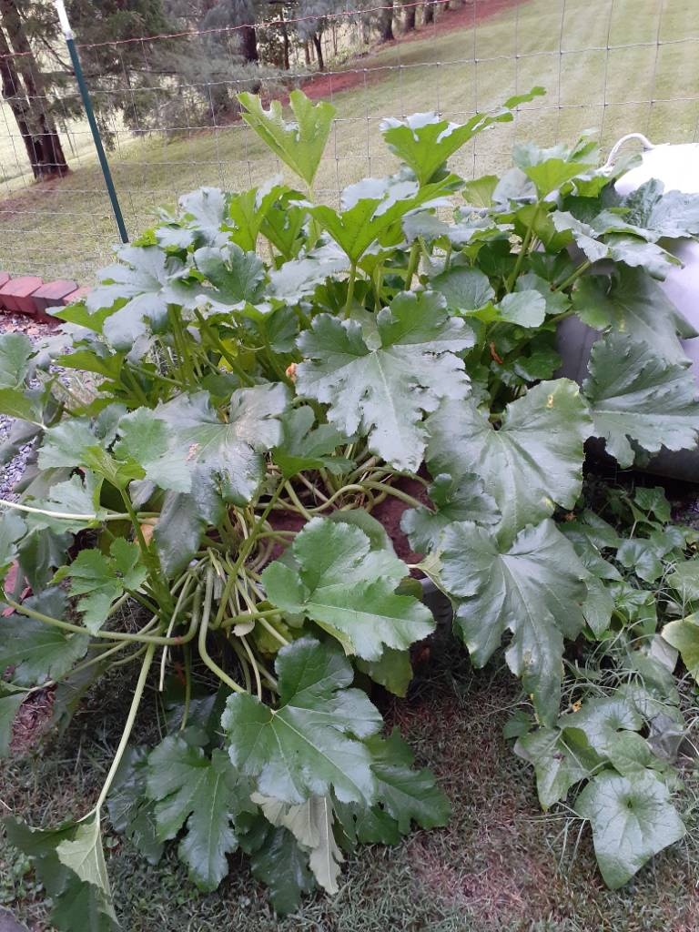 20230806_200317.jpg