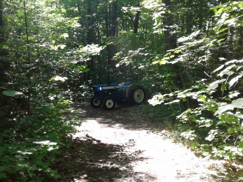 20230813_160727.jpg