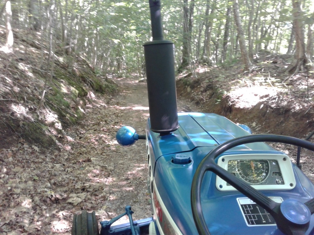 20230813_160914.jpg