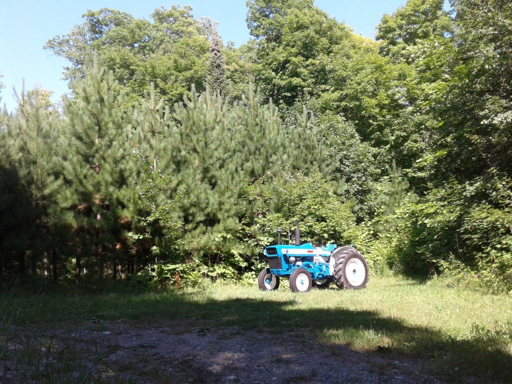 20230813_161626.jpg