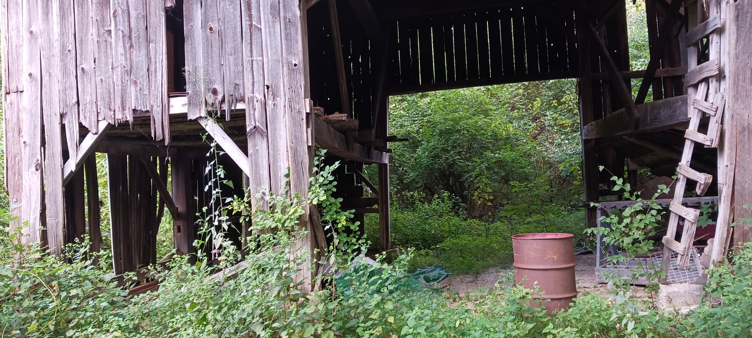 20230902_171039.jpg