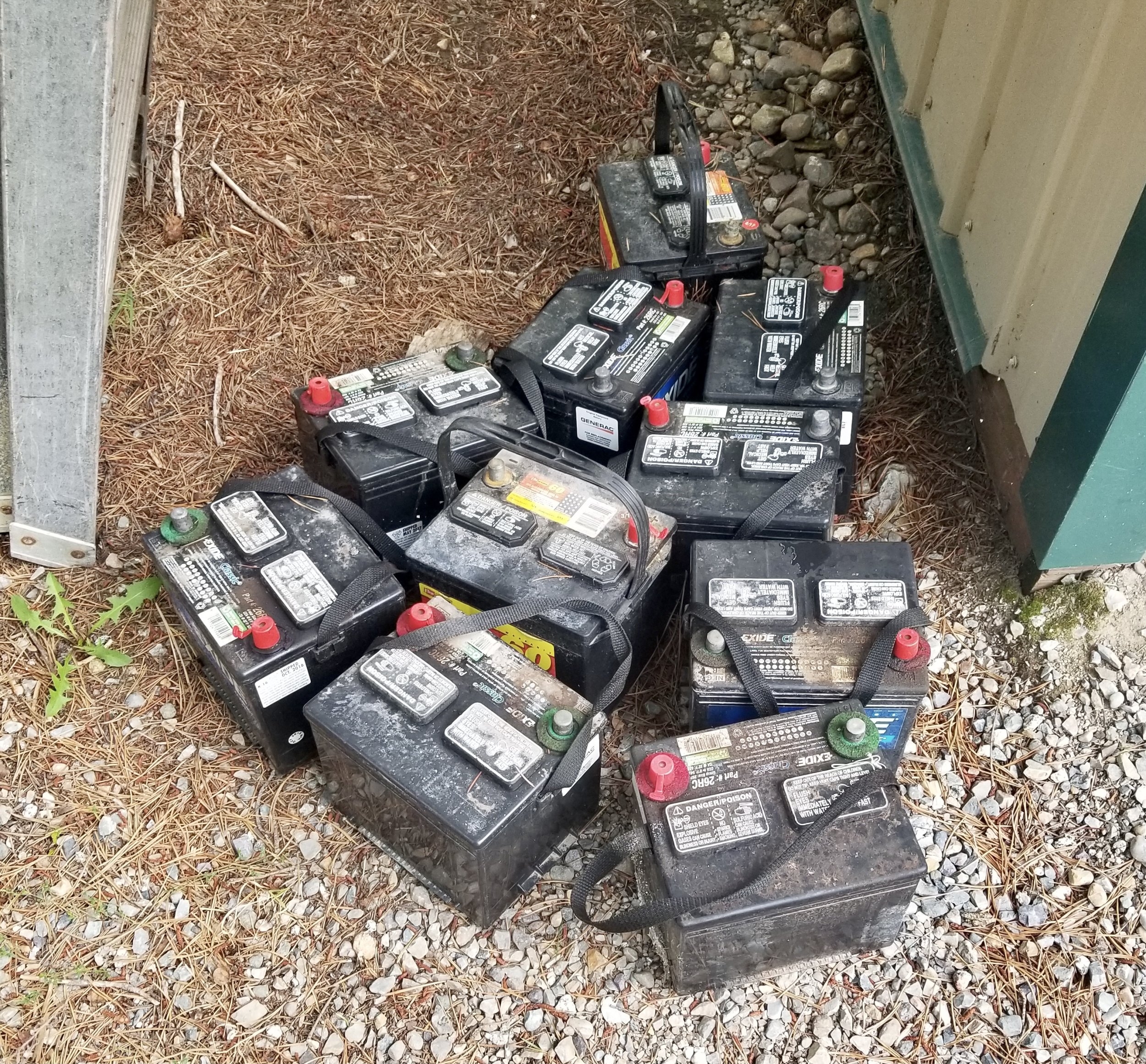 20230904_082602.jpeg