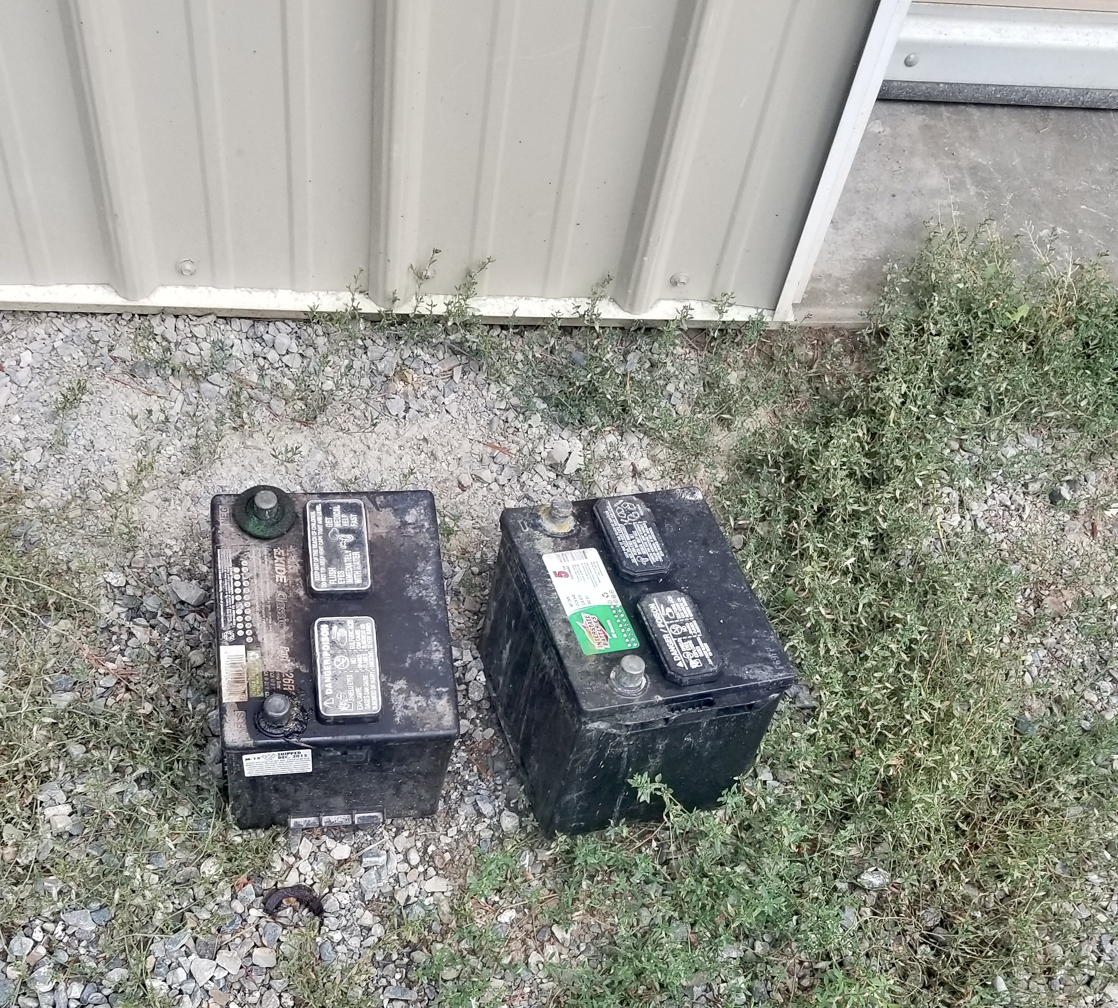 20230904_082611.jpeg