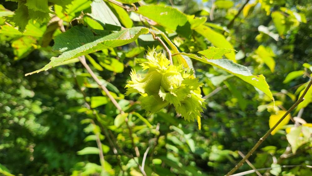 20230906_143010.jpg