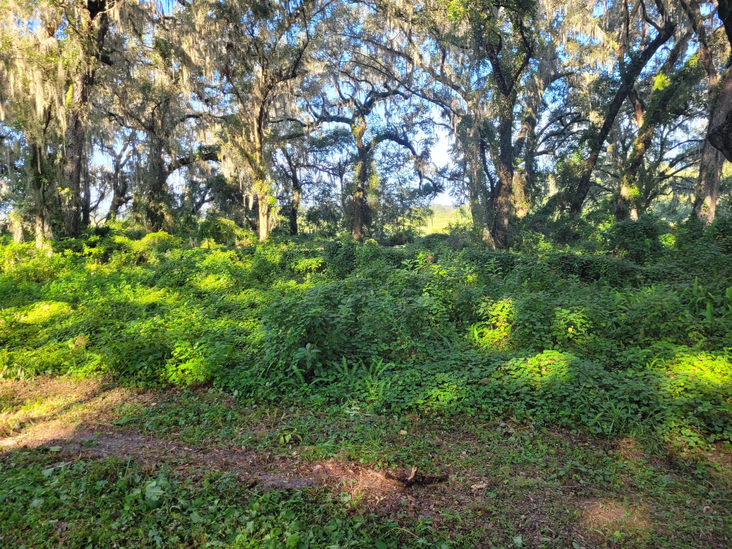 20230912_093504.jpg