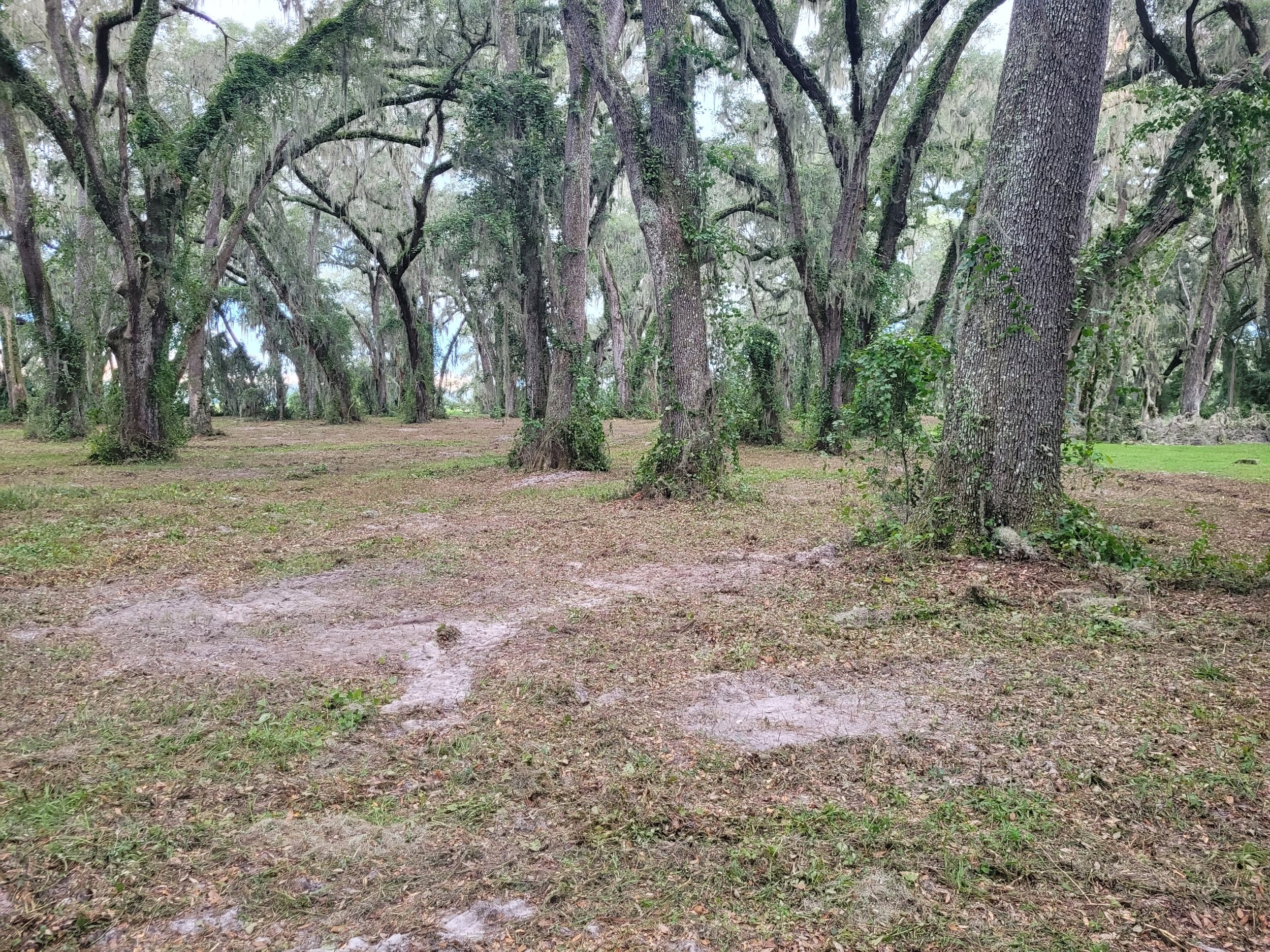 20230912_180833.jpg