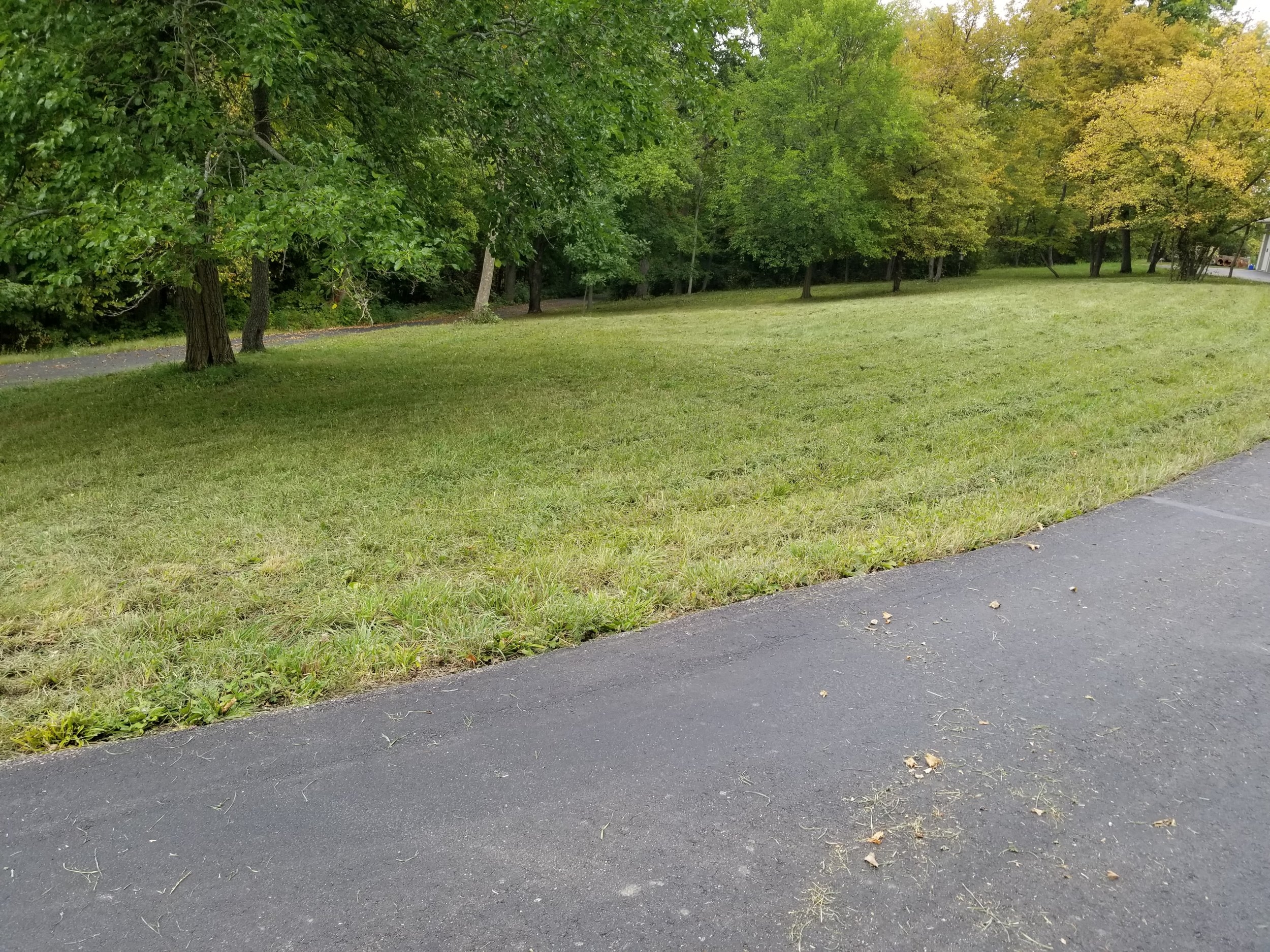 20230921_145544.jpg