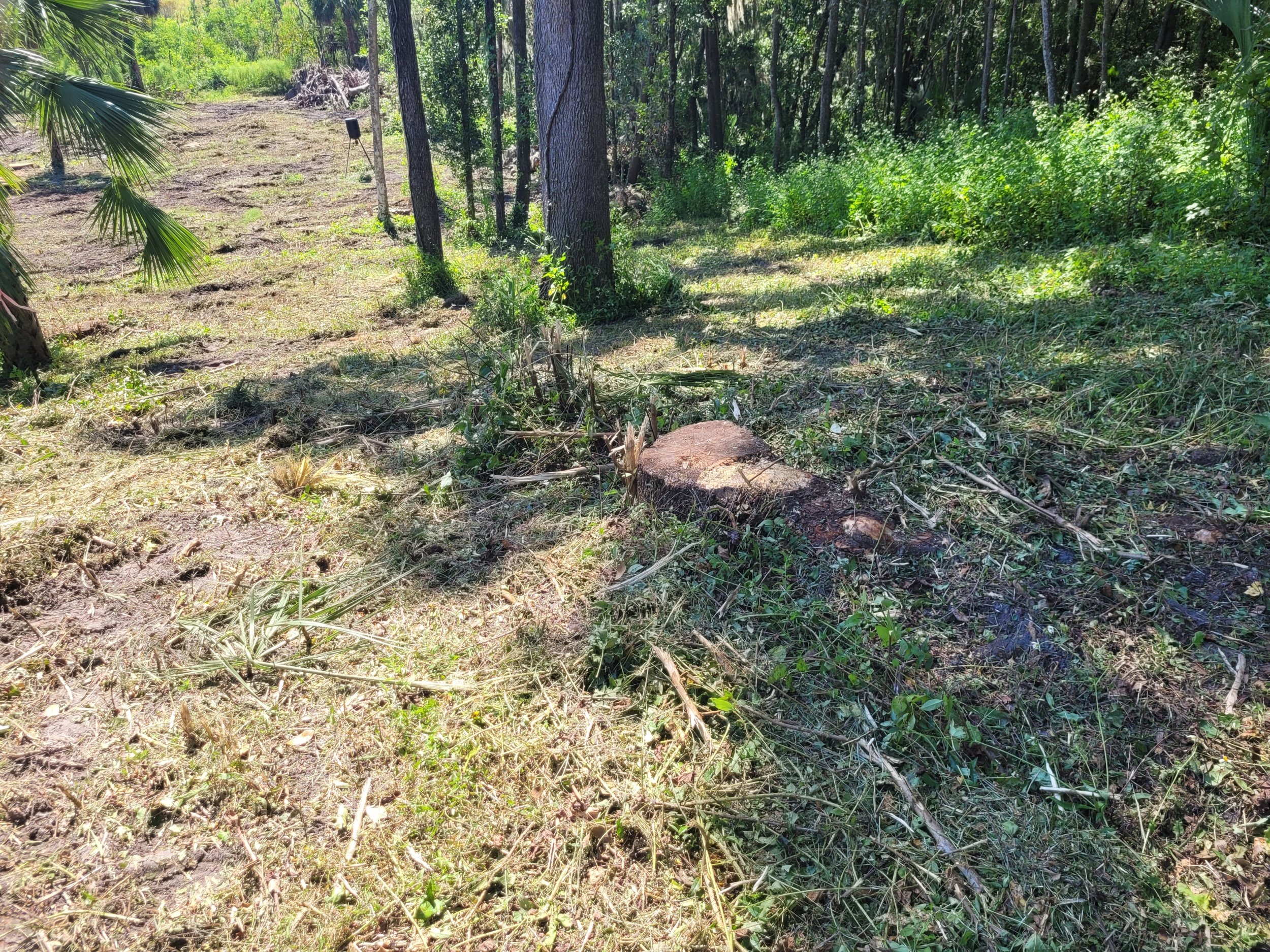 20230922_114452.jpg