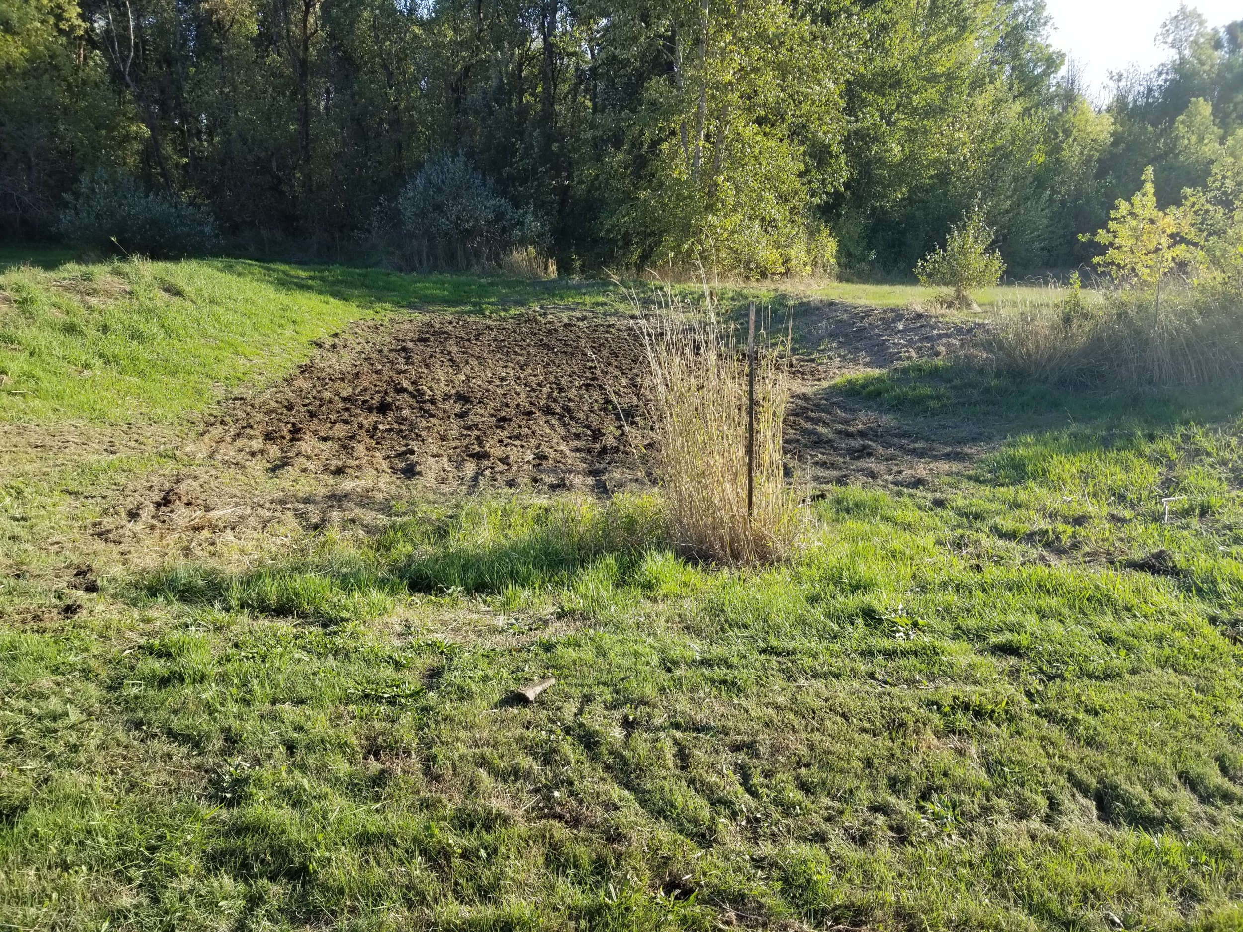 20230930_170329.jpg