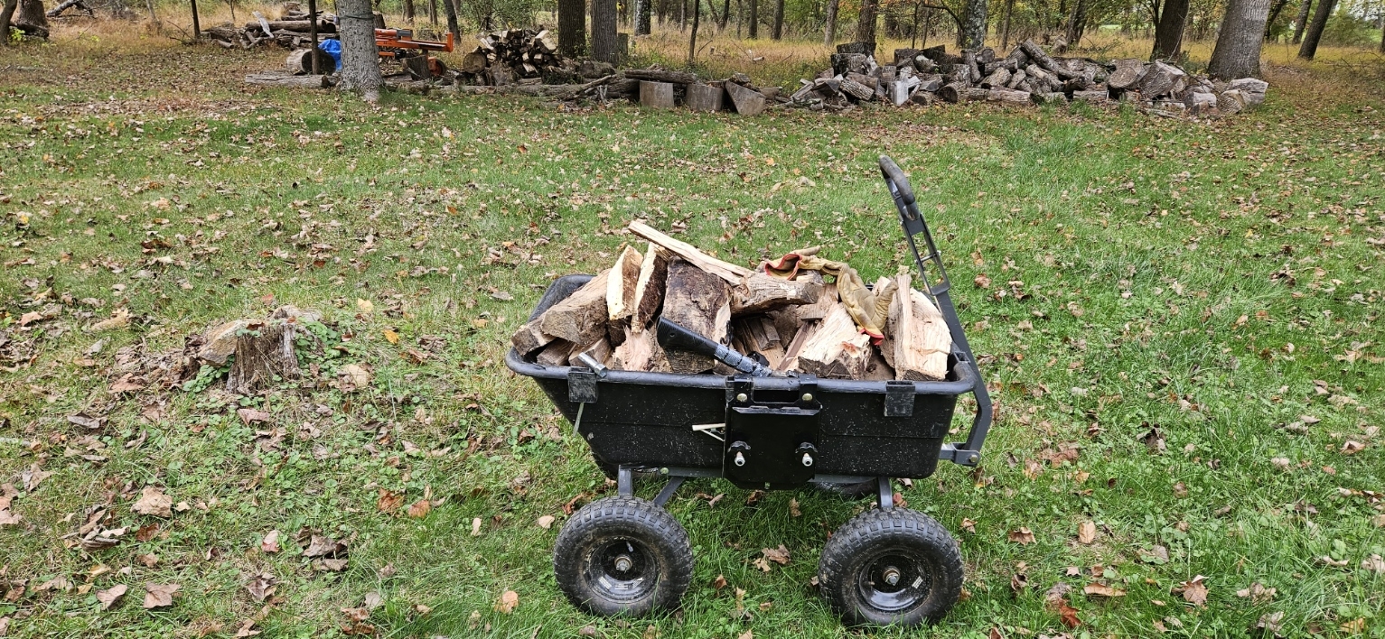 20231019_161128.jpg