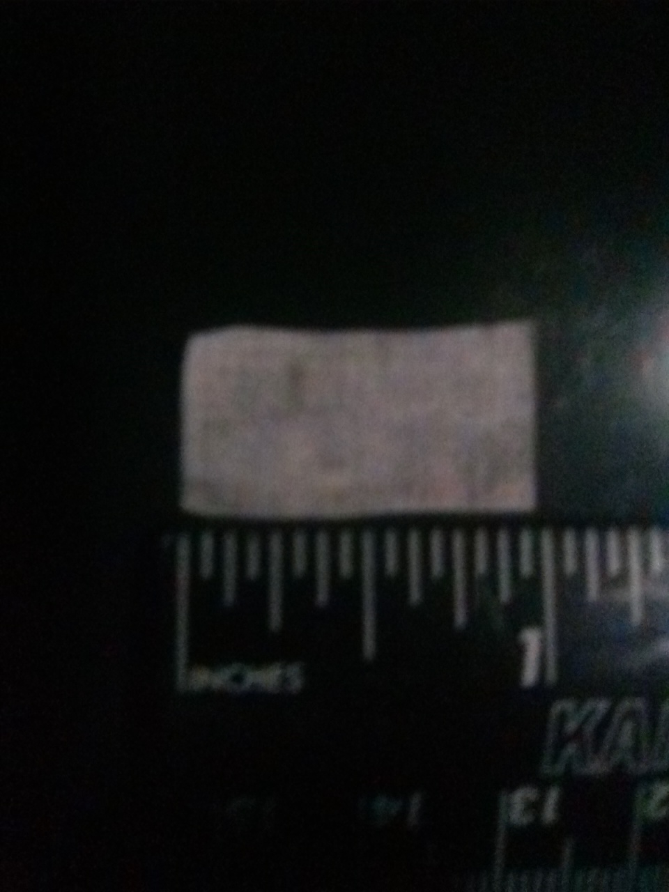 20231024_100019.jpg