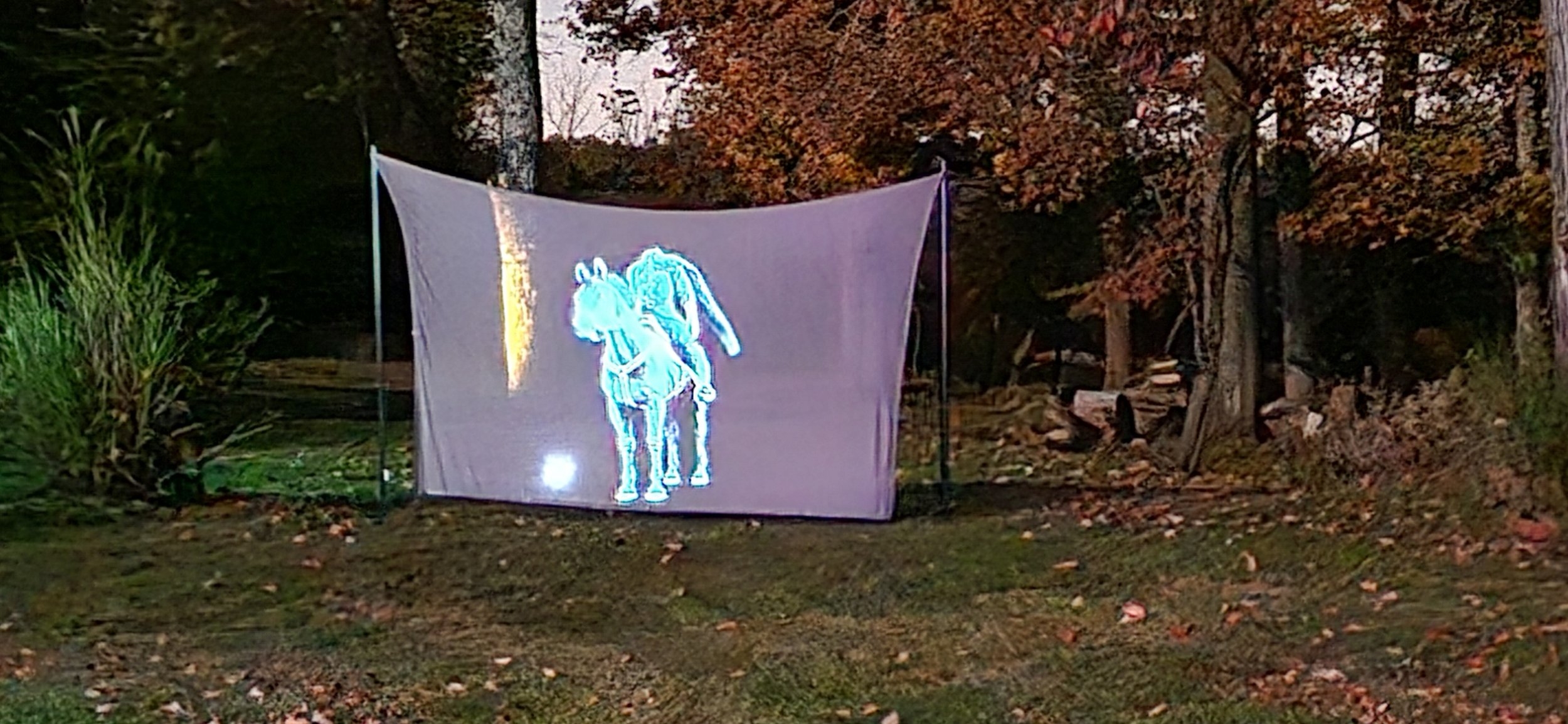 20231026_191758.jpg