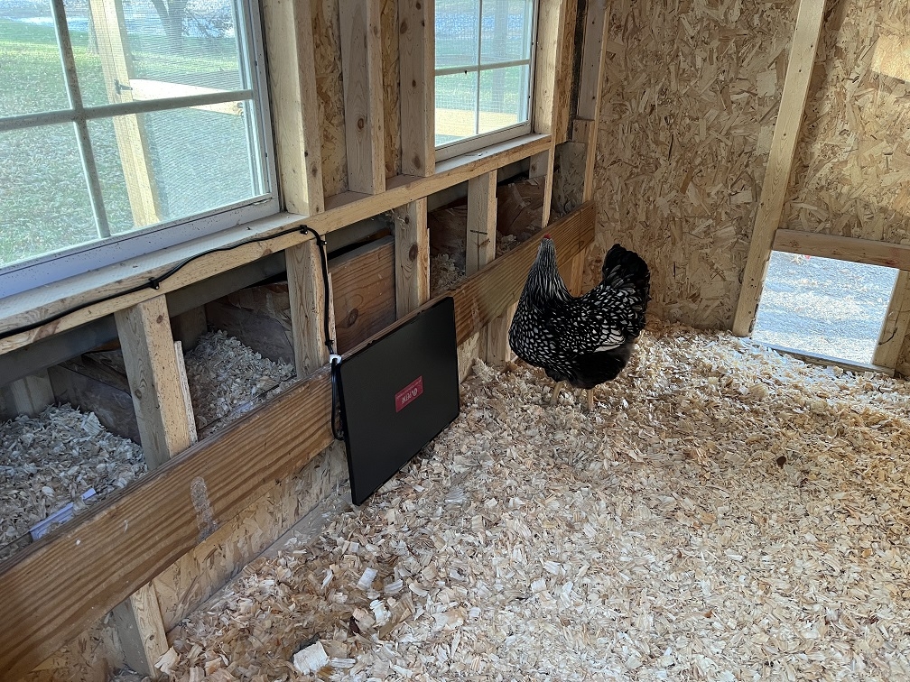20231104 Hen House Power 2.JPG