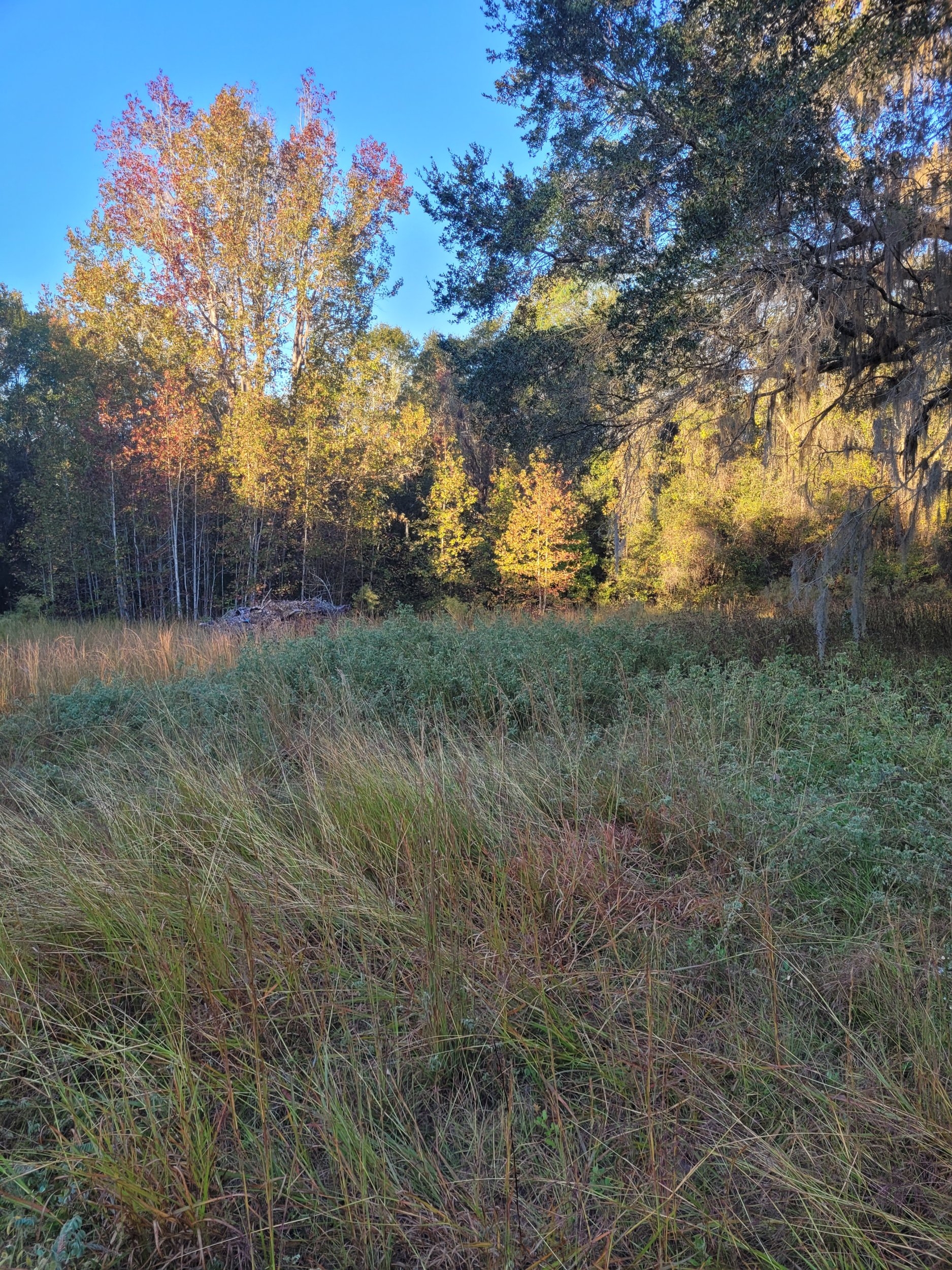 20231107_073534.jpg