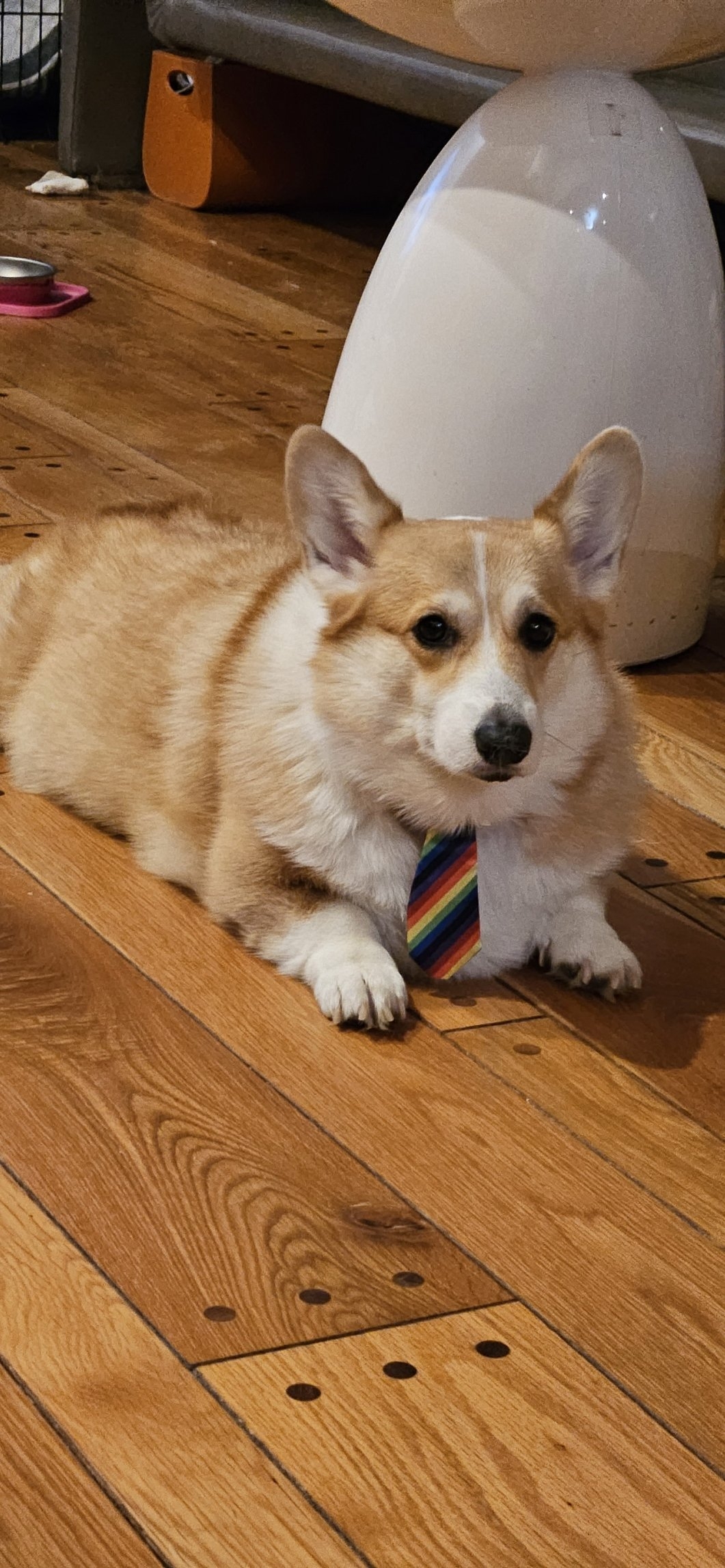 20231107_184013.jpg