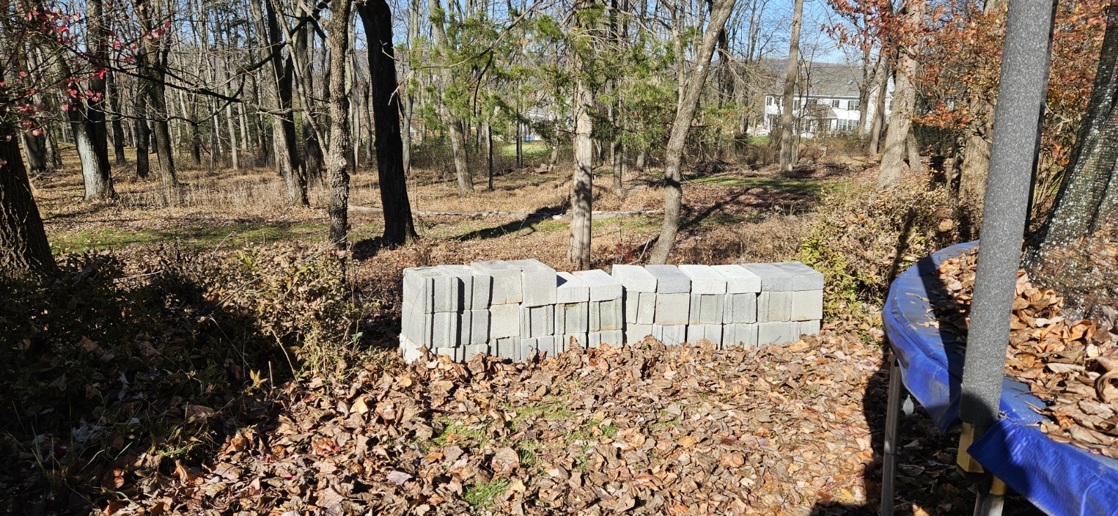 20231118_115720.jpg