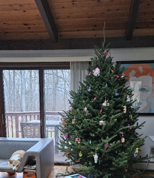 20231217_102913.jpg