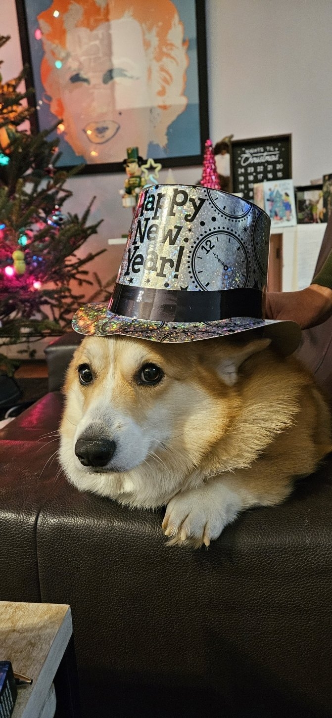 20231231_224548.jpg