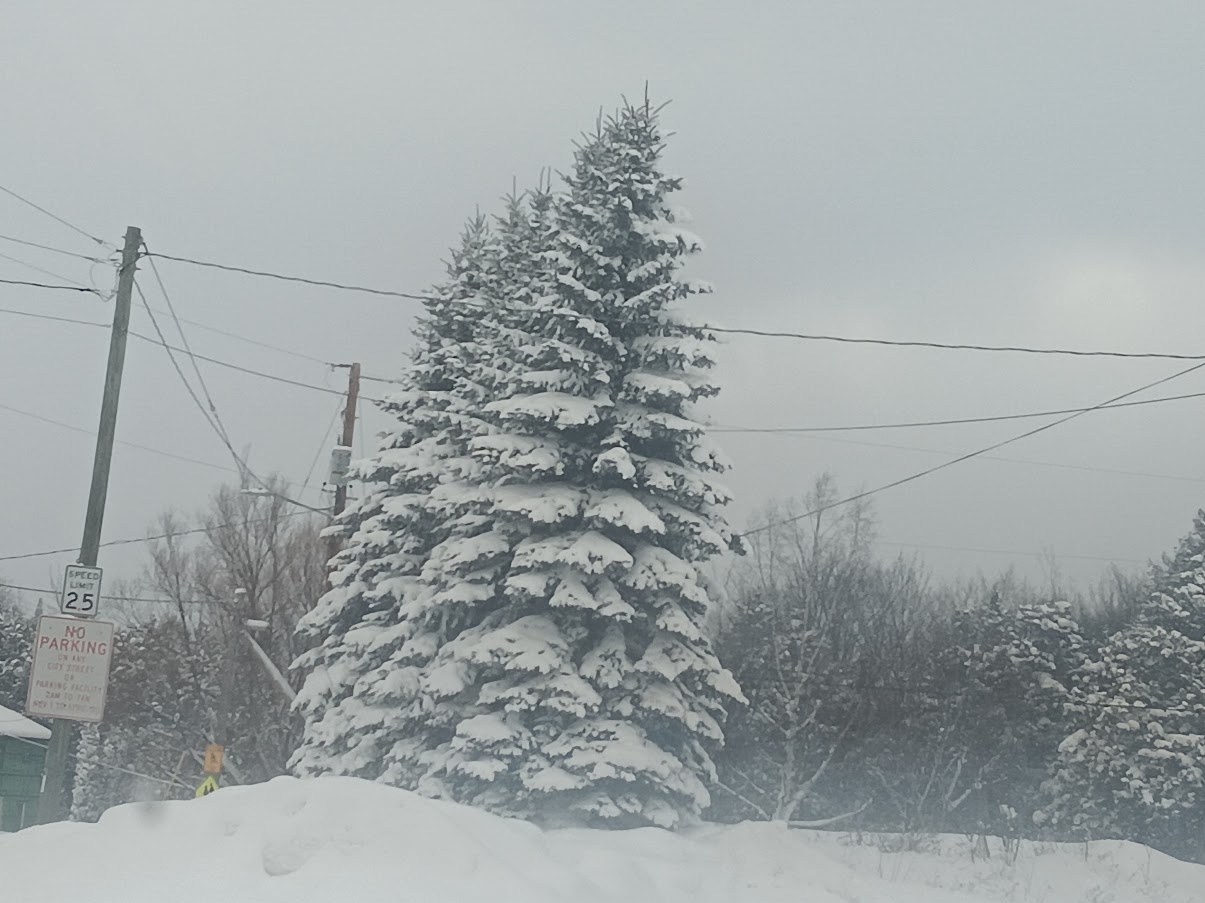 20240118_121052.jpg