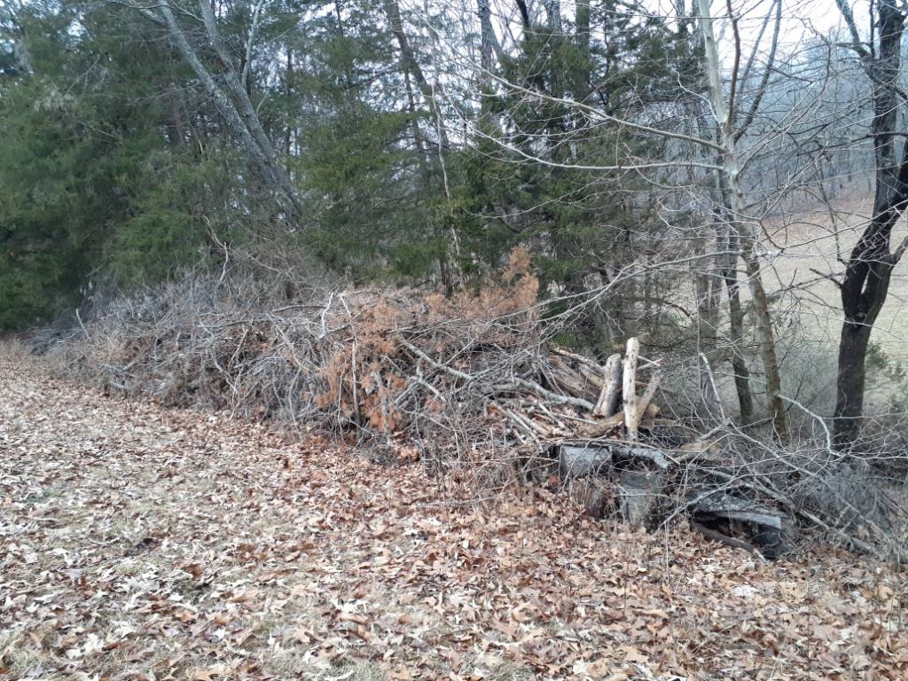 20240124_160728.jpg