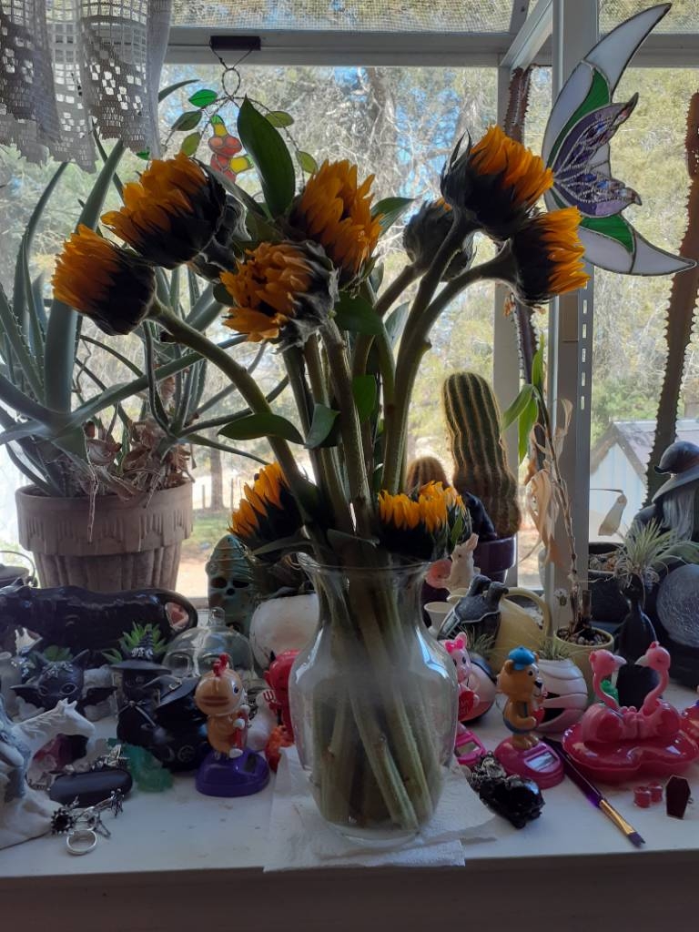 20240206_122703.jpg