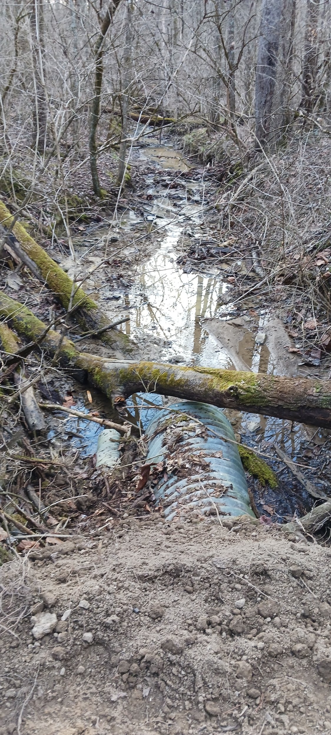 20240208_161416.jpg