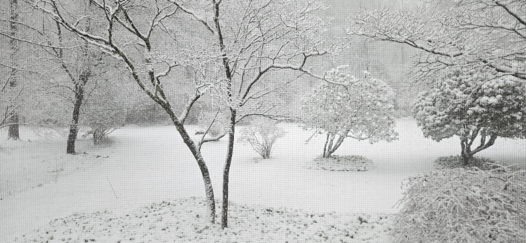 20240213_075613.jpg
