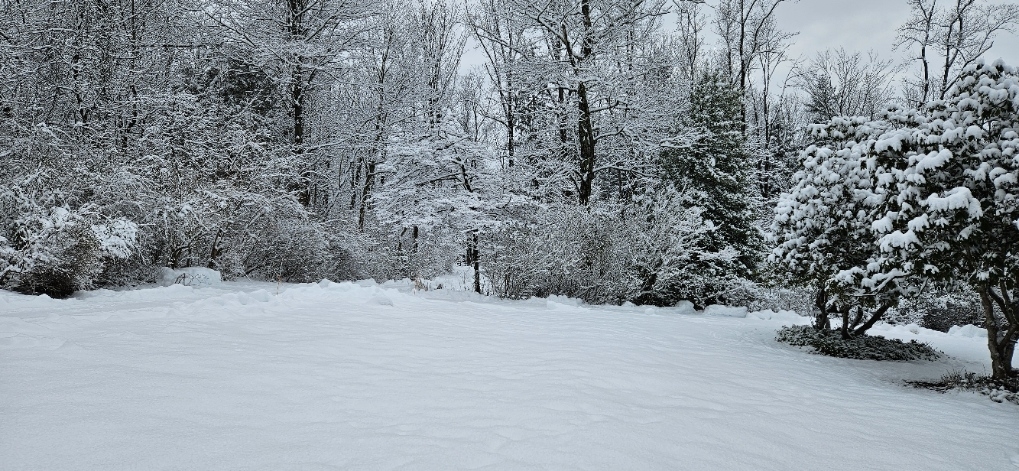 20240217_092245.jpg