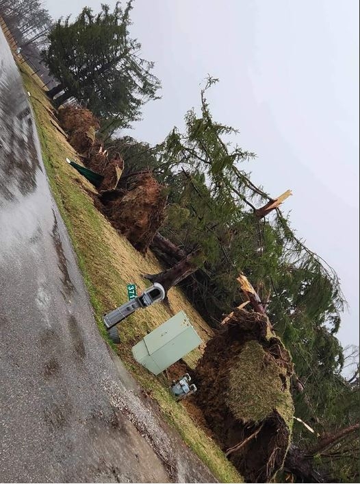 20240228tornadodamageCoRd2.JPG