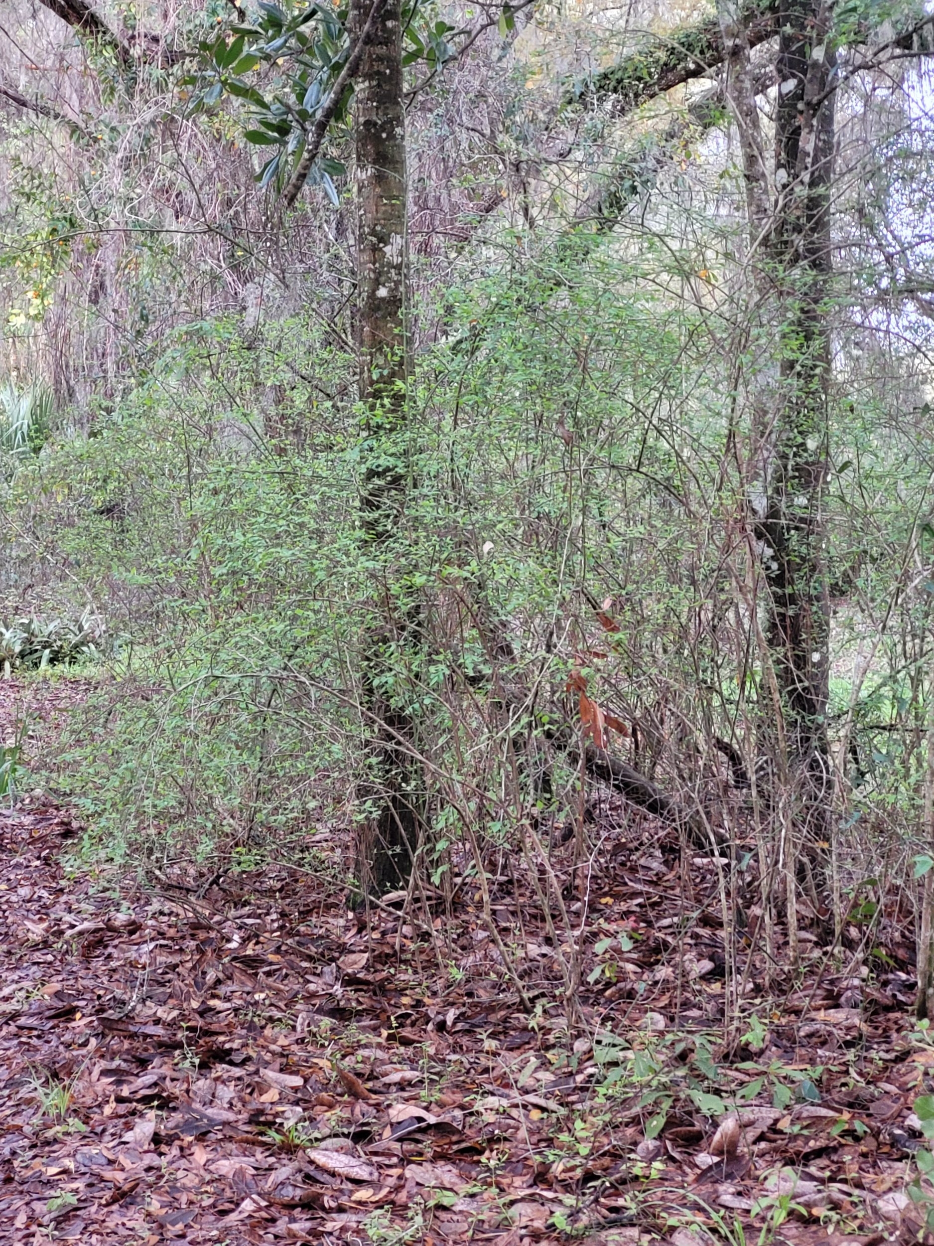 20240306_075058.jpg