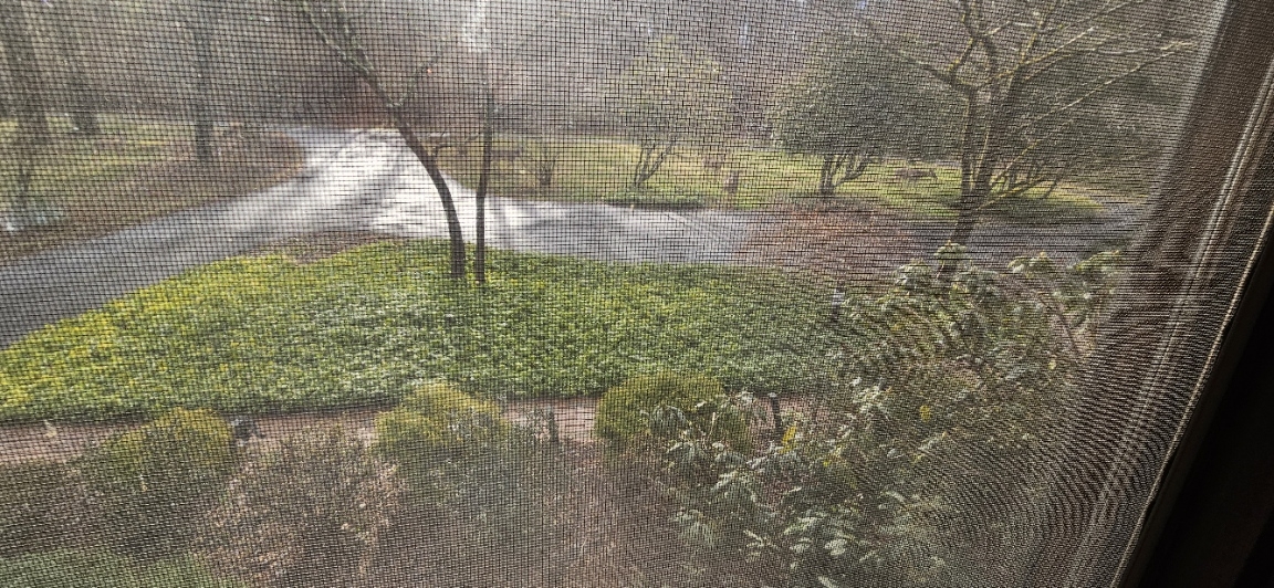 20240307_082550.jpg