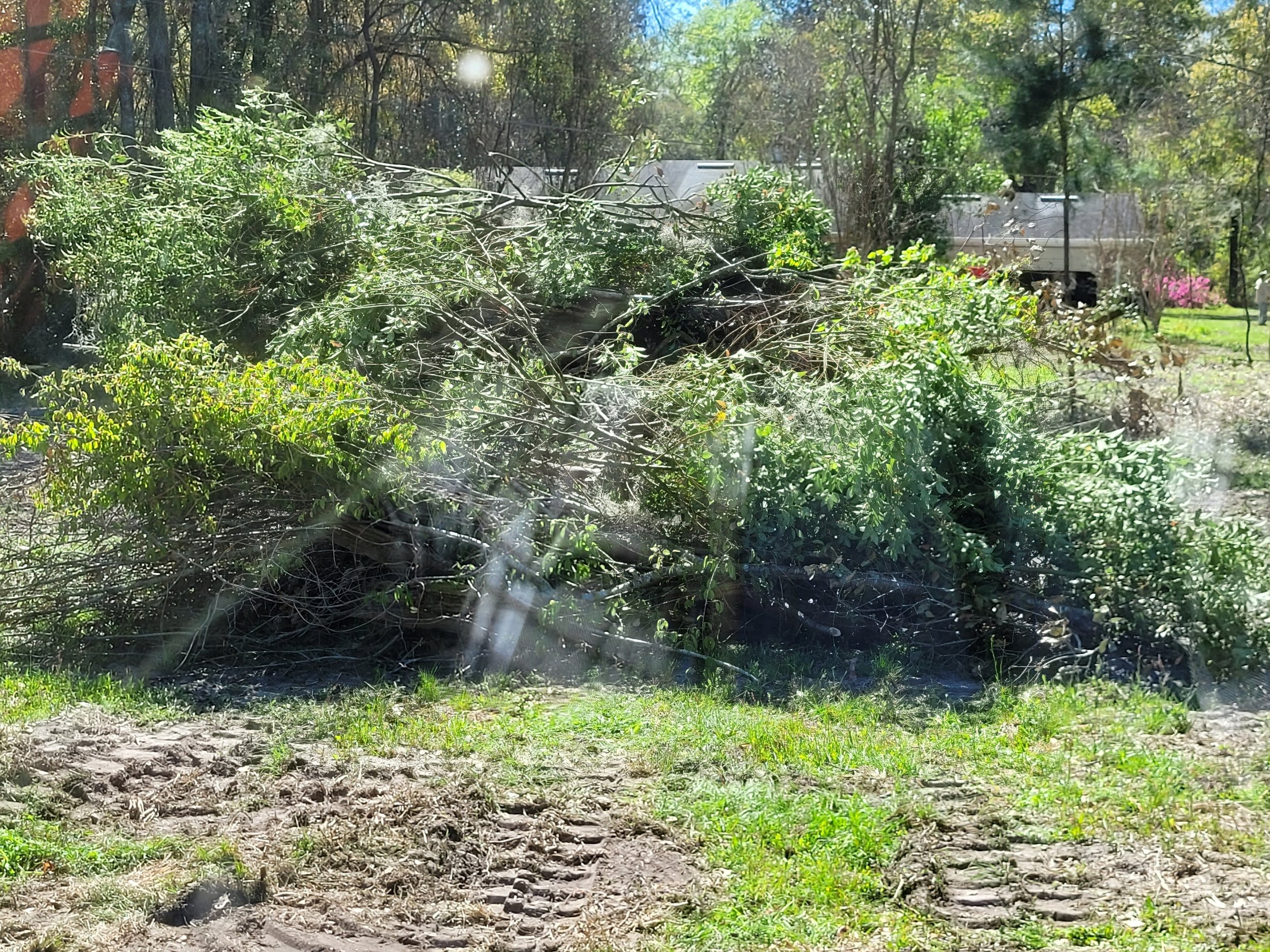 20240312_123007.jpg